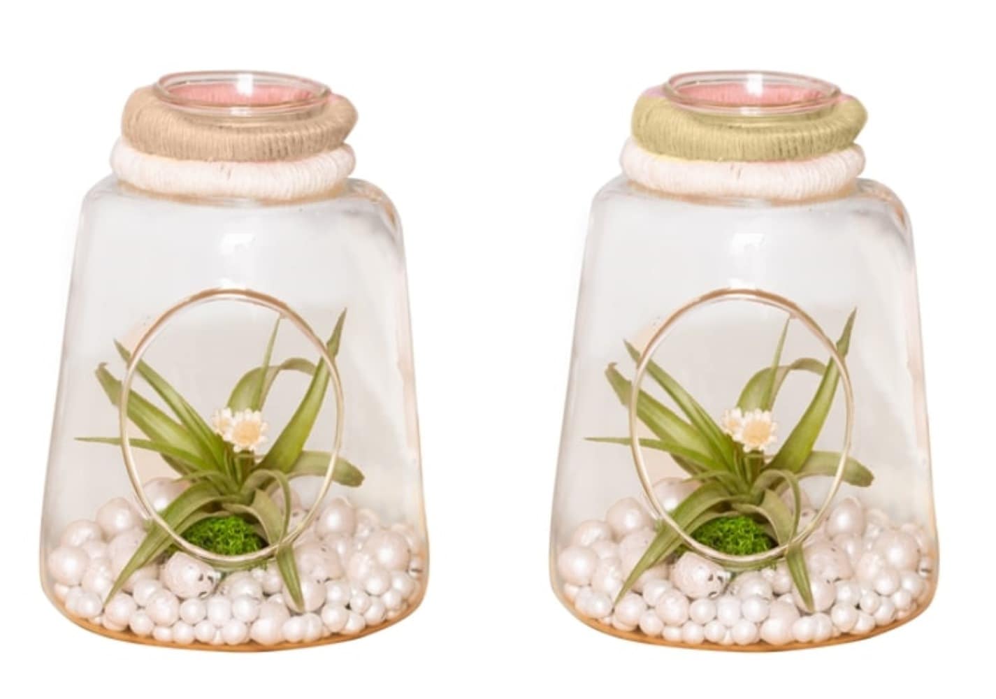 LiveTrends ASB07697 Sea Glass House plant in 1 -Pack Terrarium 1 -Pack