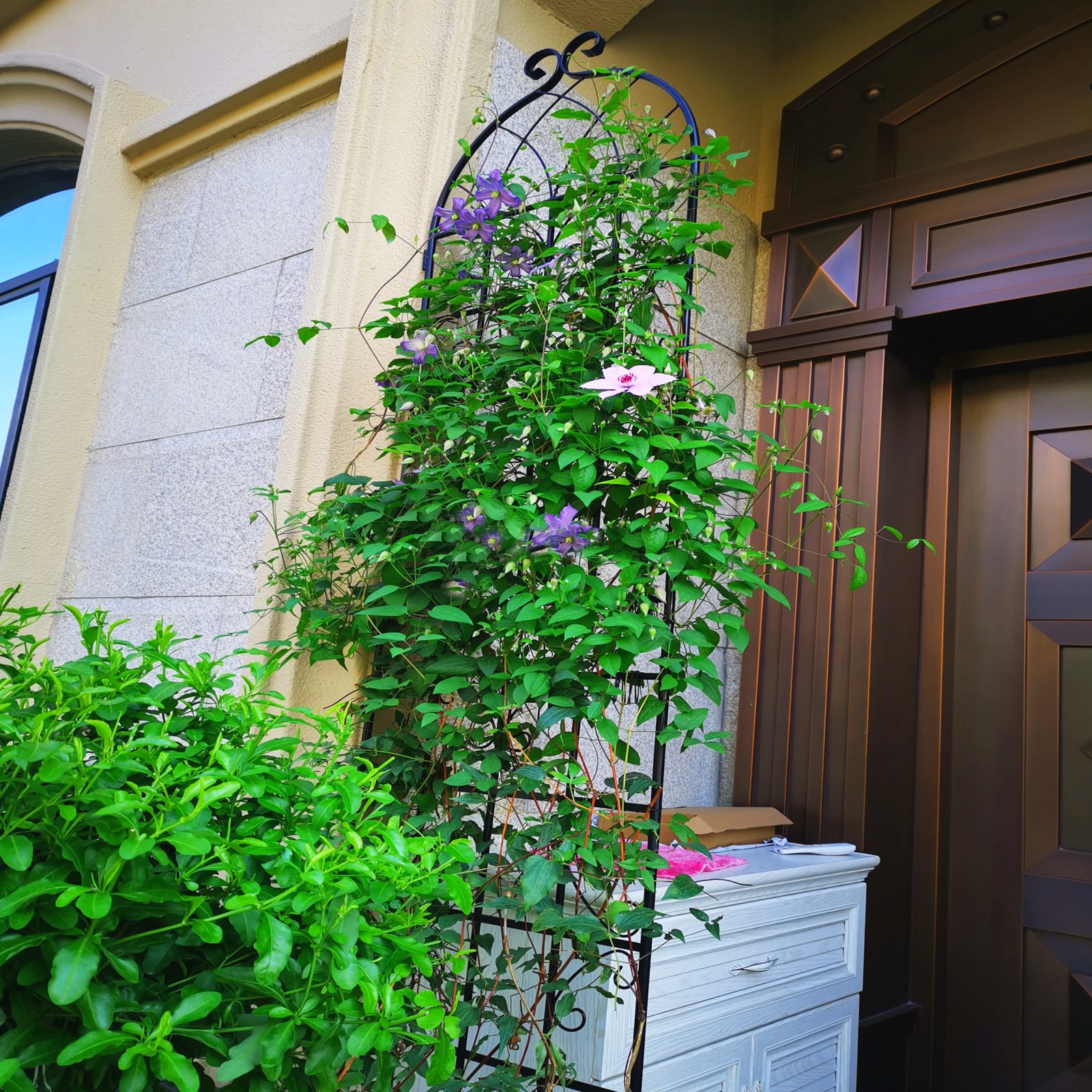 Tatayosi T58681059 Garden-Utility-Fencing - View #3