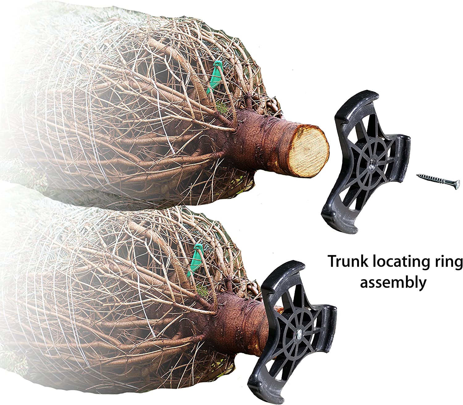 Northlight 35607672 Tree-Stands - View #5