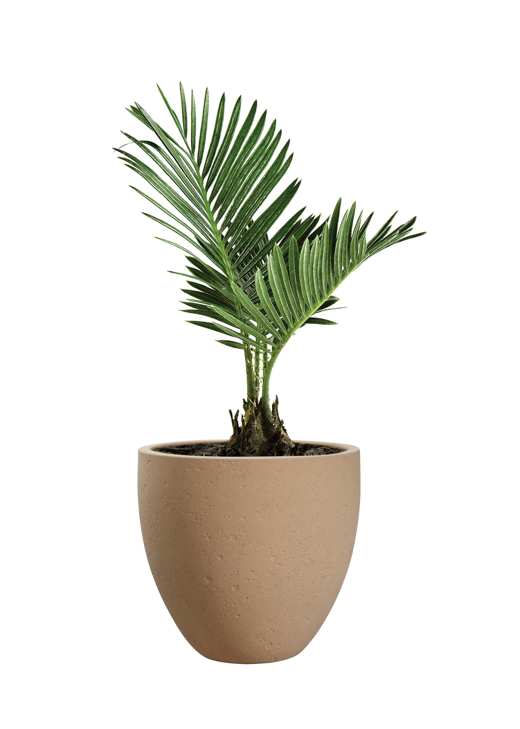 allen + roth UT897811 Planter-Window-Box - View #12