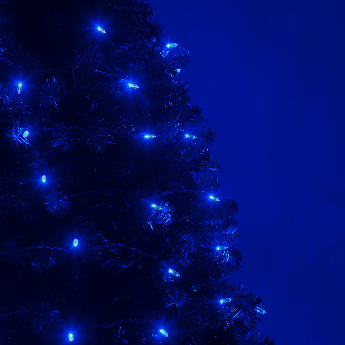 Wintergreen Lighting 74553 Christmas-String-Lights - View #6