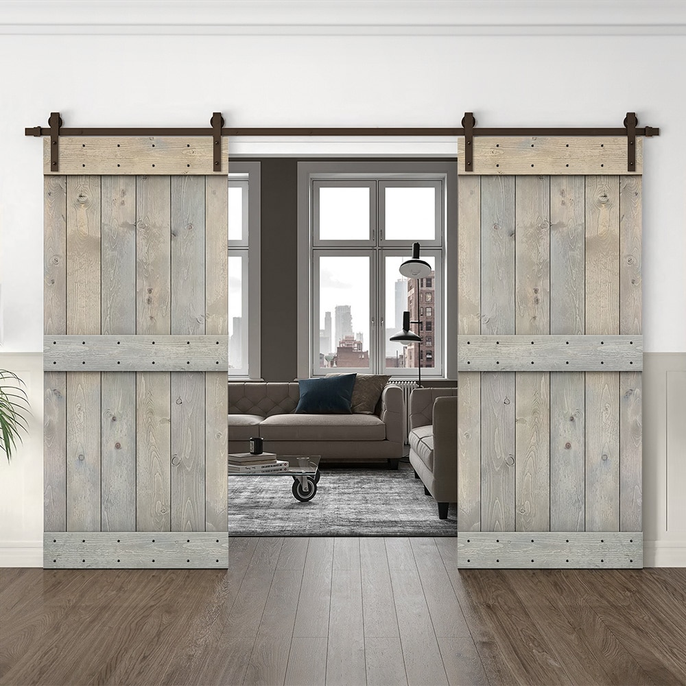 CALHOME CN+(2)AB-79+03-38SKG Barn-Doors - View #2
