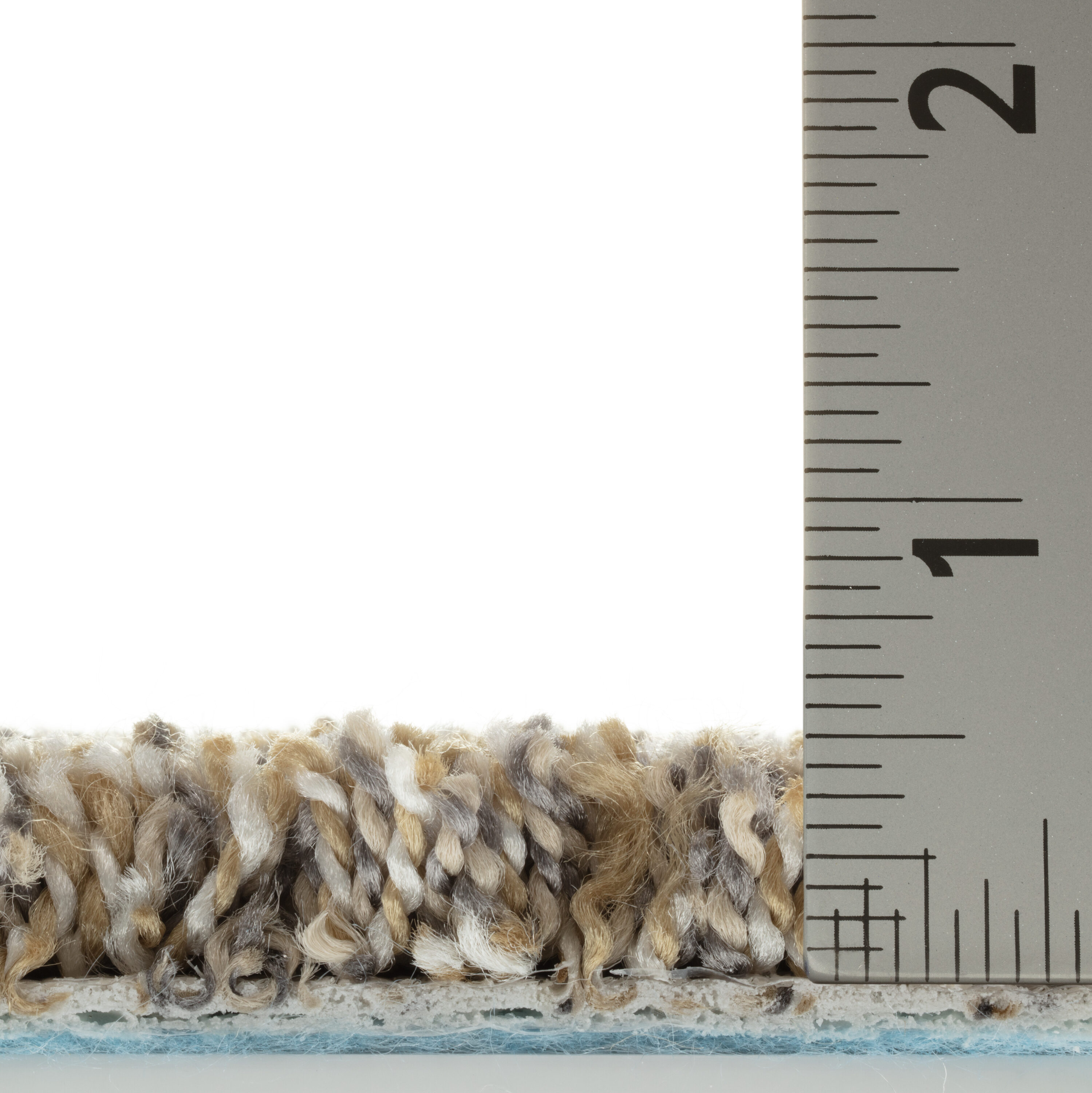 STAINMASTER PetProtect 7L99300220 Carpet-Panel - View #8