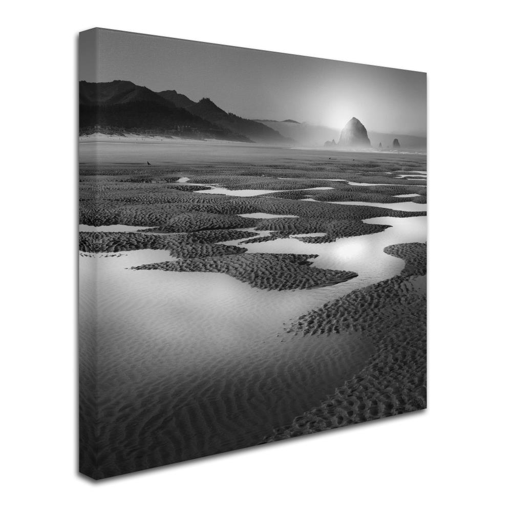 Trademark Fine Art ALI1059-C1818GG Wall-Art - View #2
