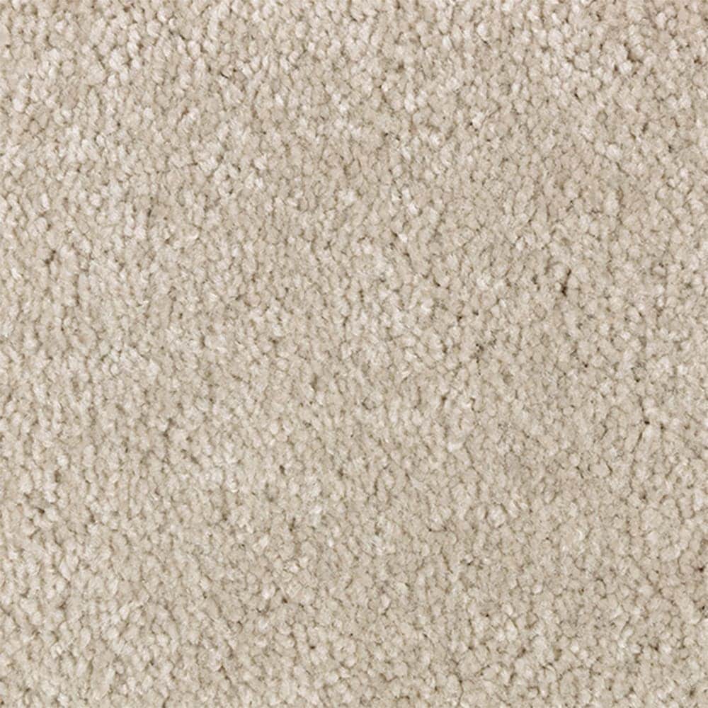 STAINMASTER STP65-L004-0808 (Sample) Serenity Stride I Bubbles Brown 50-oz sq yard Polyester Textured Indoor Carpet