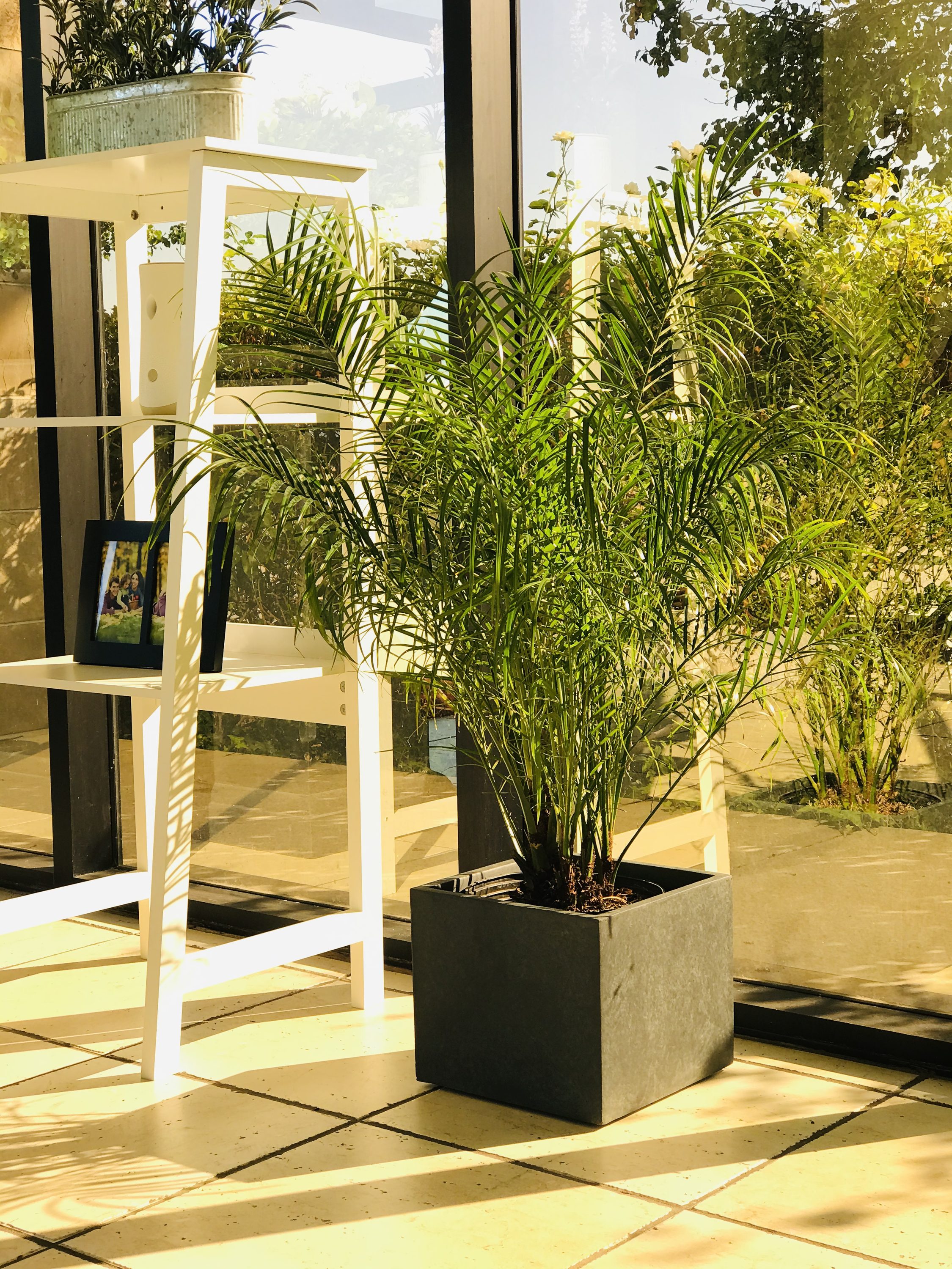 KANTE RF0006A-C70051 Planter-Window-Box - View #2