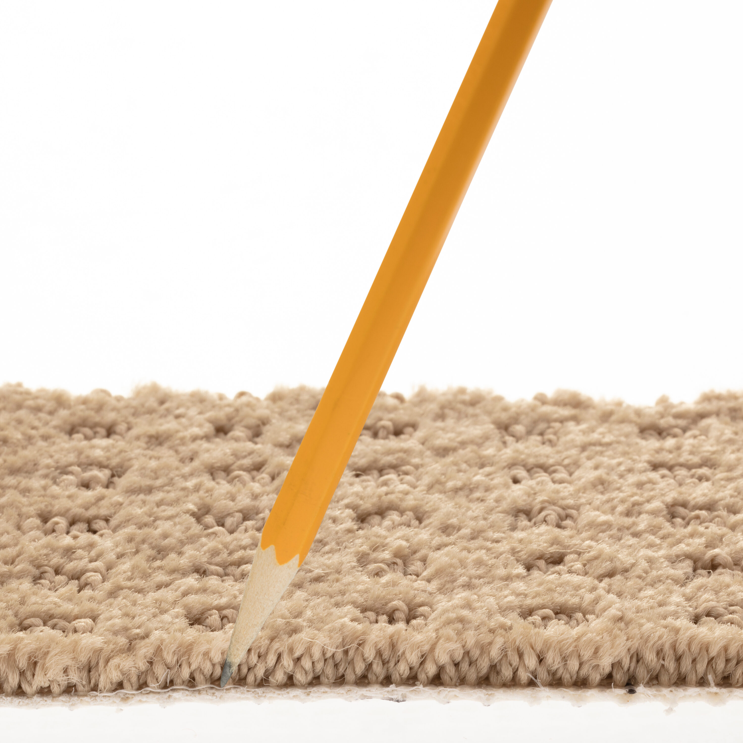 STAINMASTER PetProtect 7L89800154 Carpet-Panel - View #7