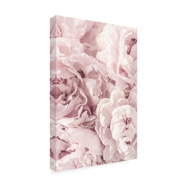 Trademark Fine Art Framed 19-in H x 12-in W Floral Print on Canvas in ...