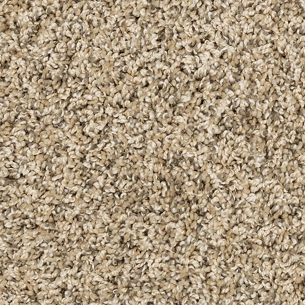 STAINMASTER SS040-12-L001 Legion Lake I Norbeck Brown 40-oz sq yard Solution-dyed polyester Textured Indoor Carpet