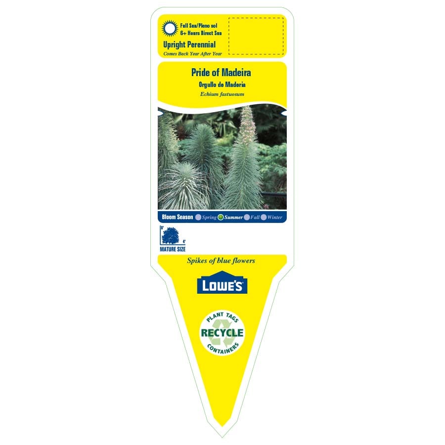 Lowe's 442334 perennials - View #2