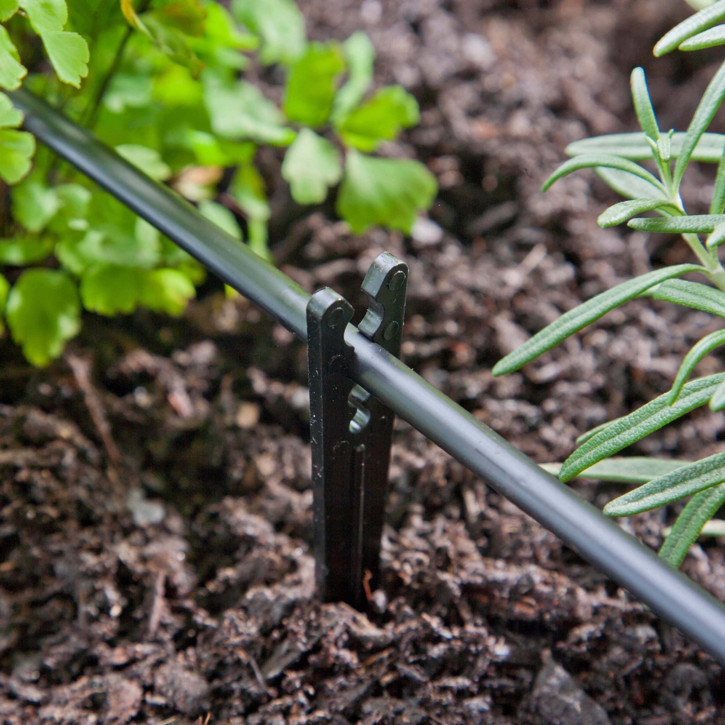 Raindrip R381CB Drip-Irrigation-Tools-Acces - View #3
