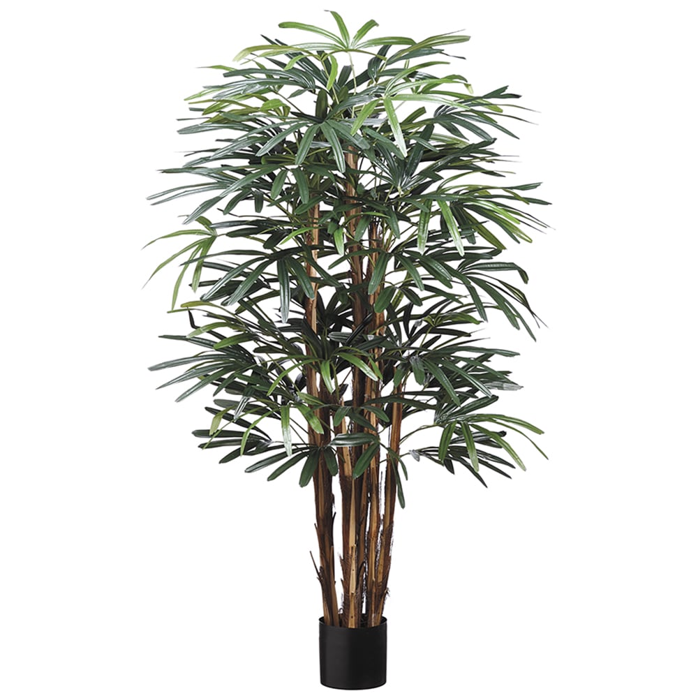 Allstate Floral LTP360-GR 60-in Green Indoor Floor Raphis Artificial tree