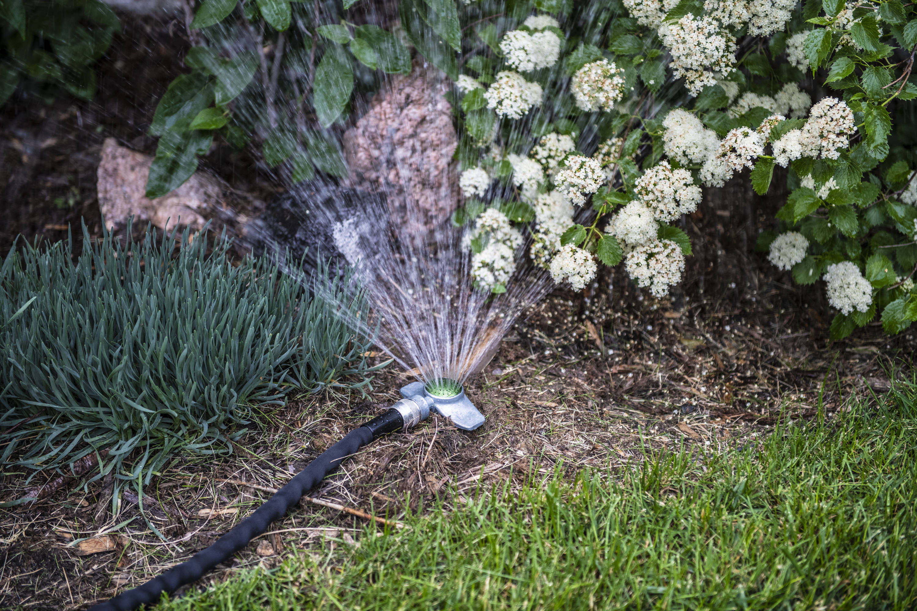 MLfire Metal Spot Sprinkler 360 Degree Lawn Sprinkler Spray Head with  Gentle Water Flow for Yard Lawn Garden Watering Coverage Up to 30FT