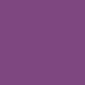  Purple Spice Lavender