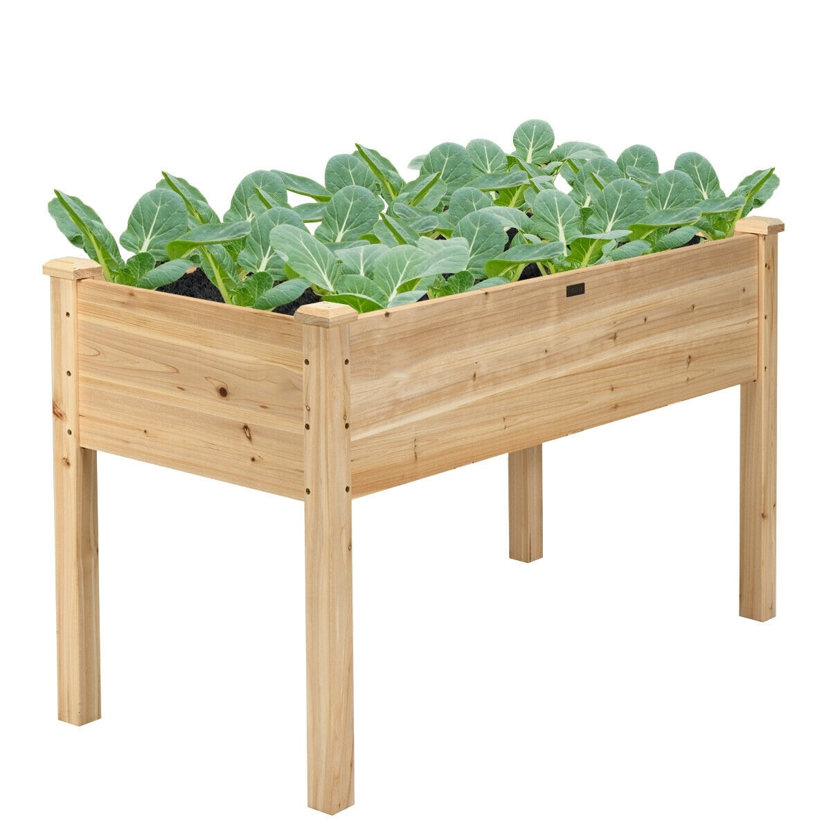 Forclover CTWY-GT3529 Raised-Planter-Boxes - View #2