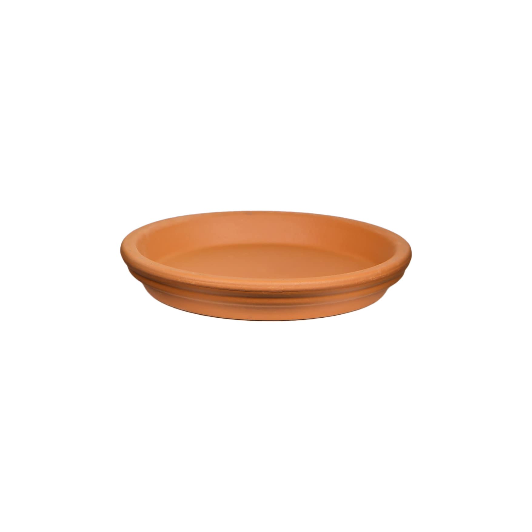 Terracotta 14-in the Plant department Plant Saucer Pennington Saucers at Clay in