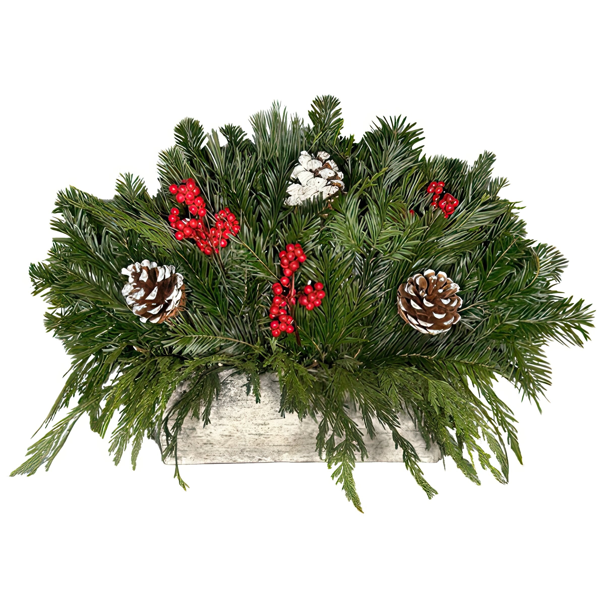 National Plant Network LW1864 Fresh-Cut-Christmas-Decorations - View #2