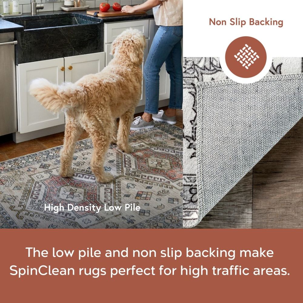 nuLOOM BIRV16B-305 rugs - View #14