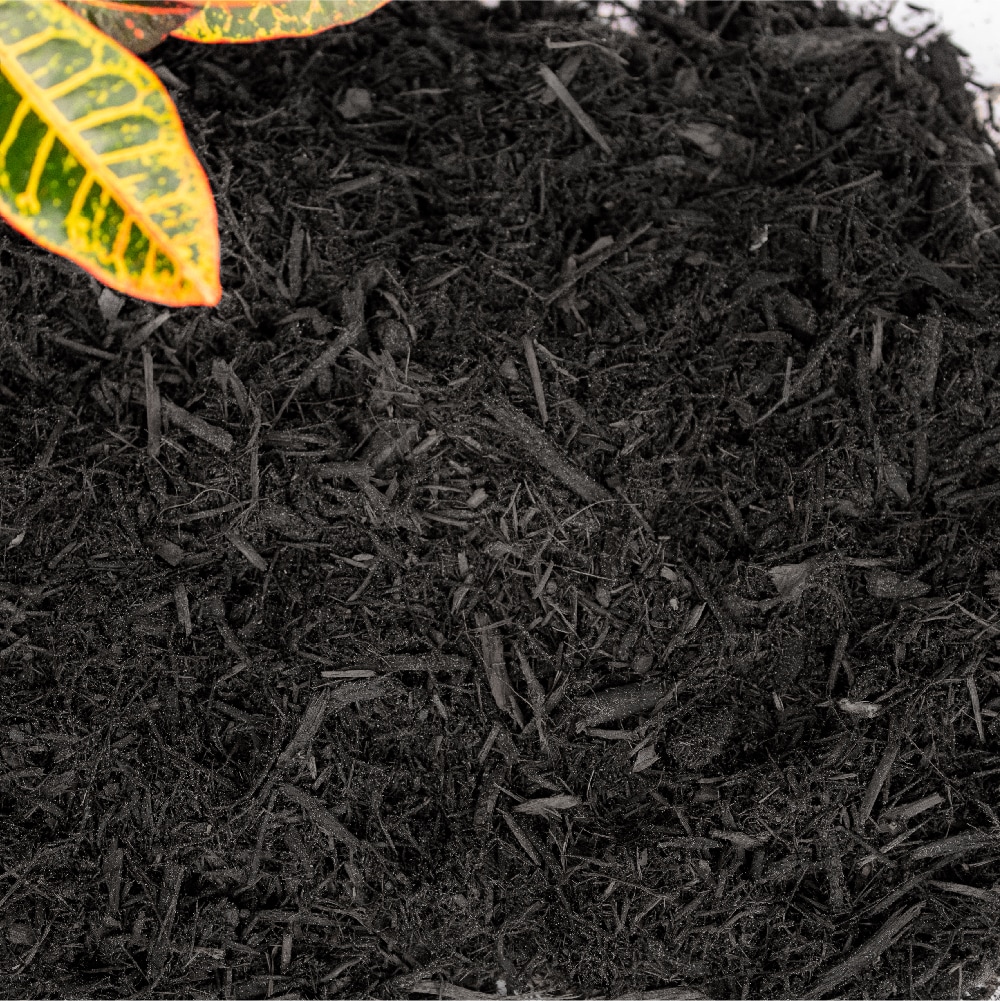  M0BLACK-A-9 Bulk-Mulch - View #2