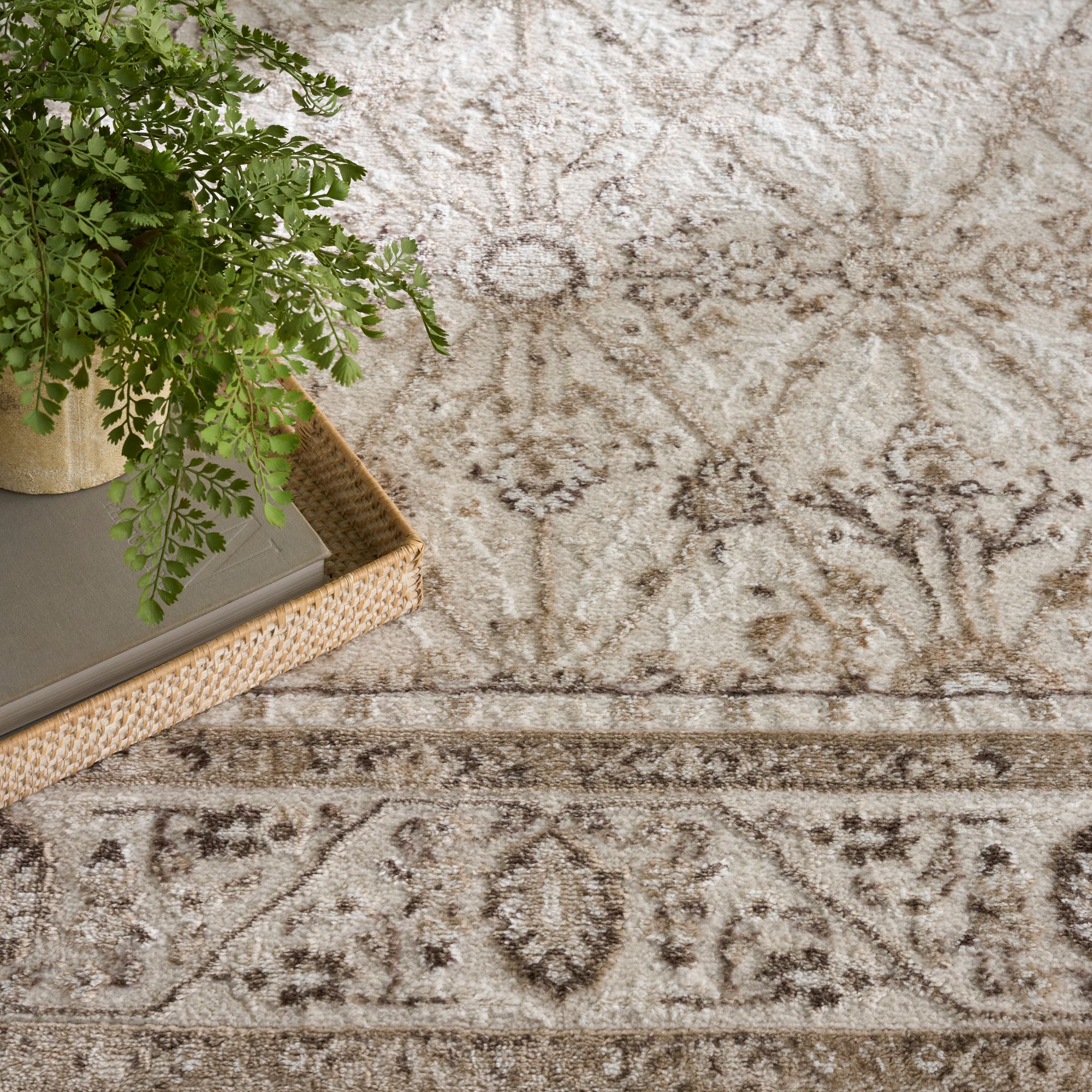 Nourison 841491152492 rugs - View #3
