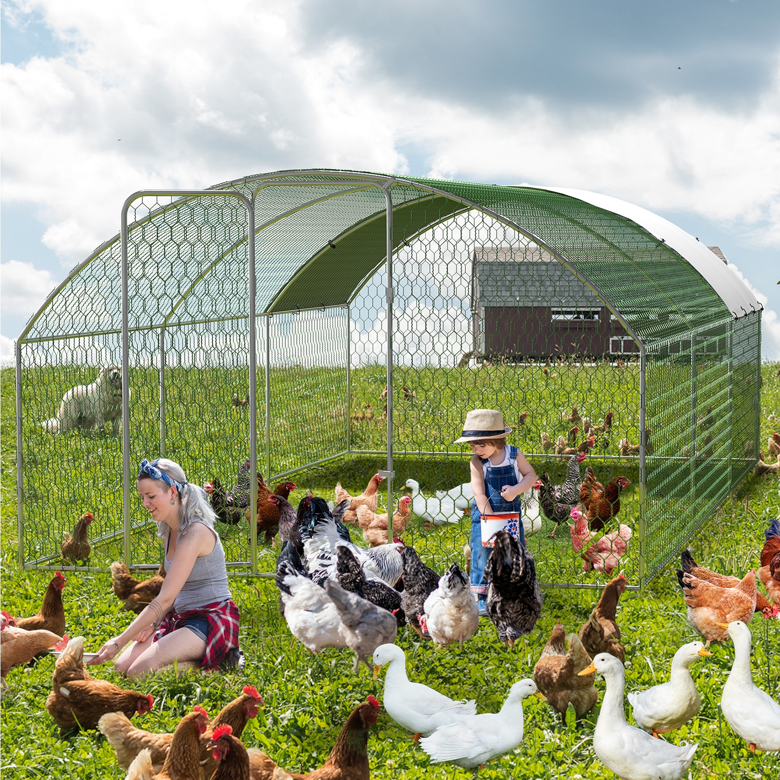IdealHouse 6-Compartment Metal Chicken Nesting Box Red/ No Legs ...