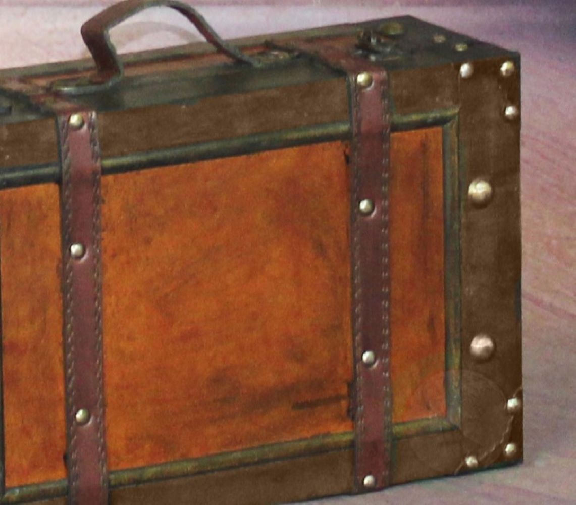 Vintiquewise QI003013.S Storage-Trunks - View #6
