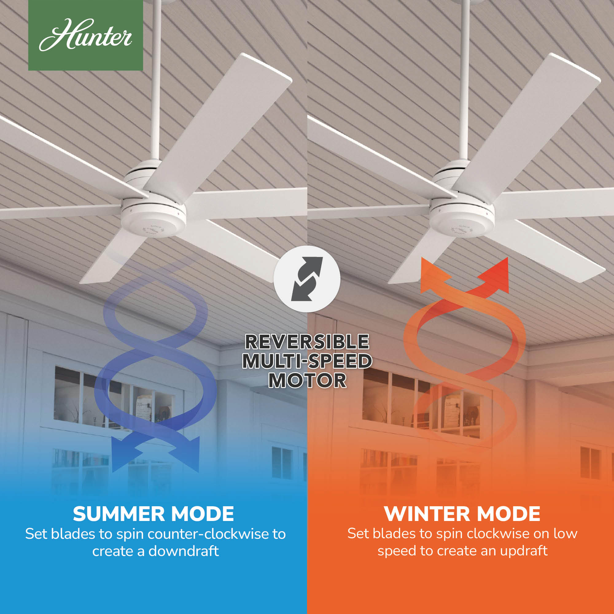 Hunter 52767 Ceiling-Fans - View #7