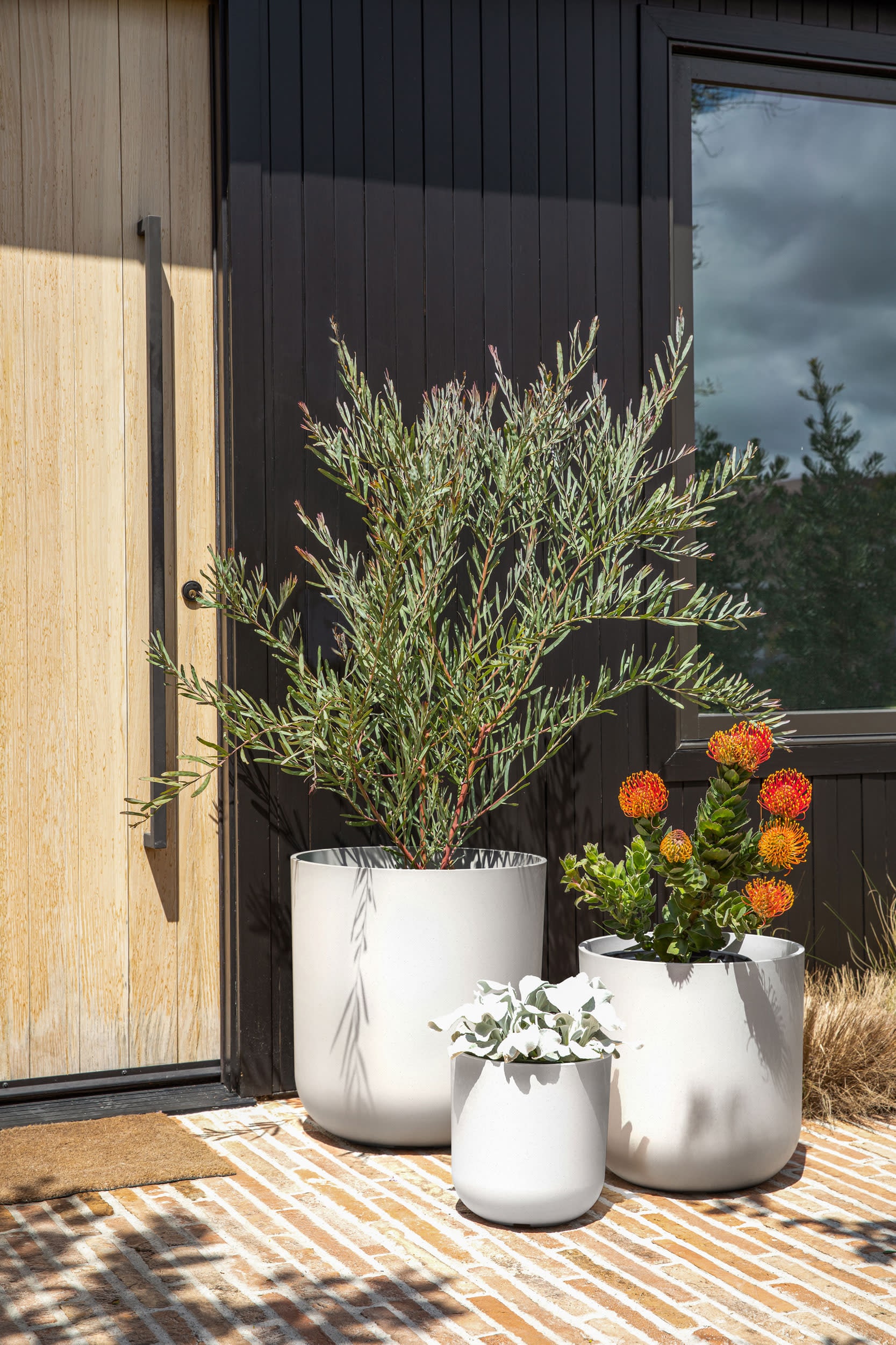 Veradek KNV-BUN-W Planter-Window-Box - View #6