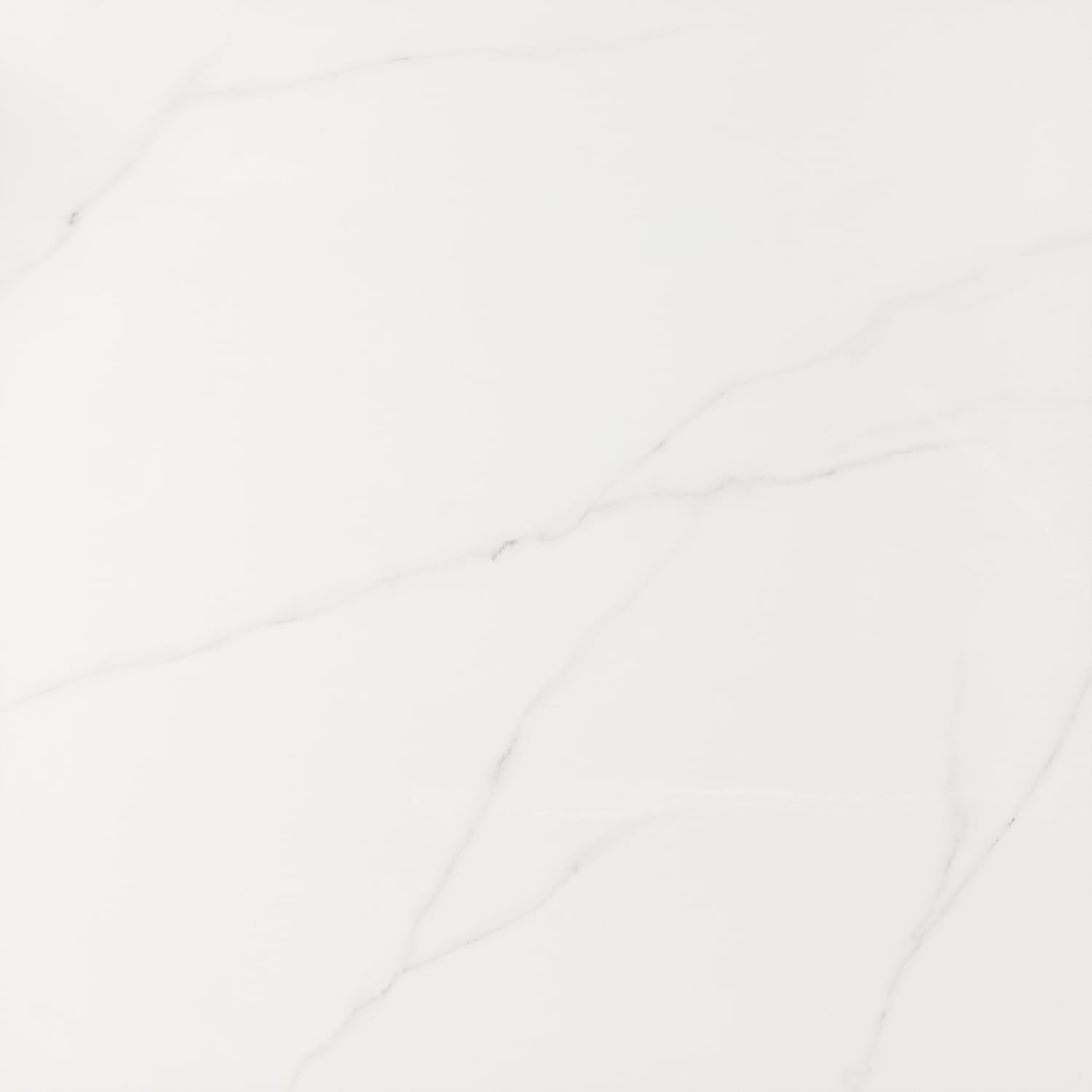 Daltile VA20SQU3333PL Ceramic-Tile - View #5