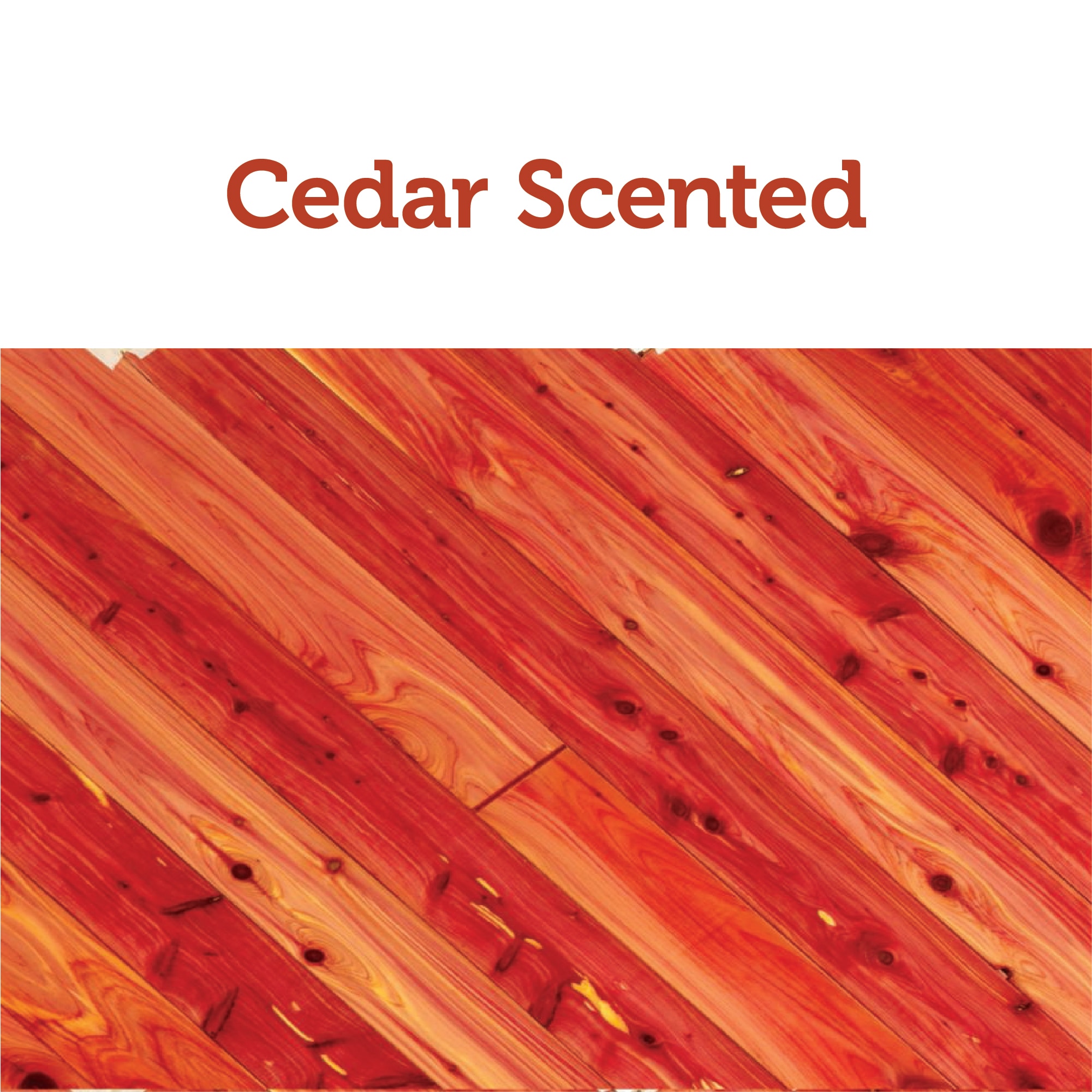 Wahdawn Cedar Moth Balls, Aromatic Red Cedar Wood Blocks Moth