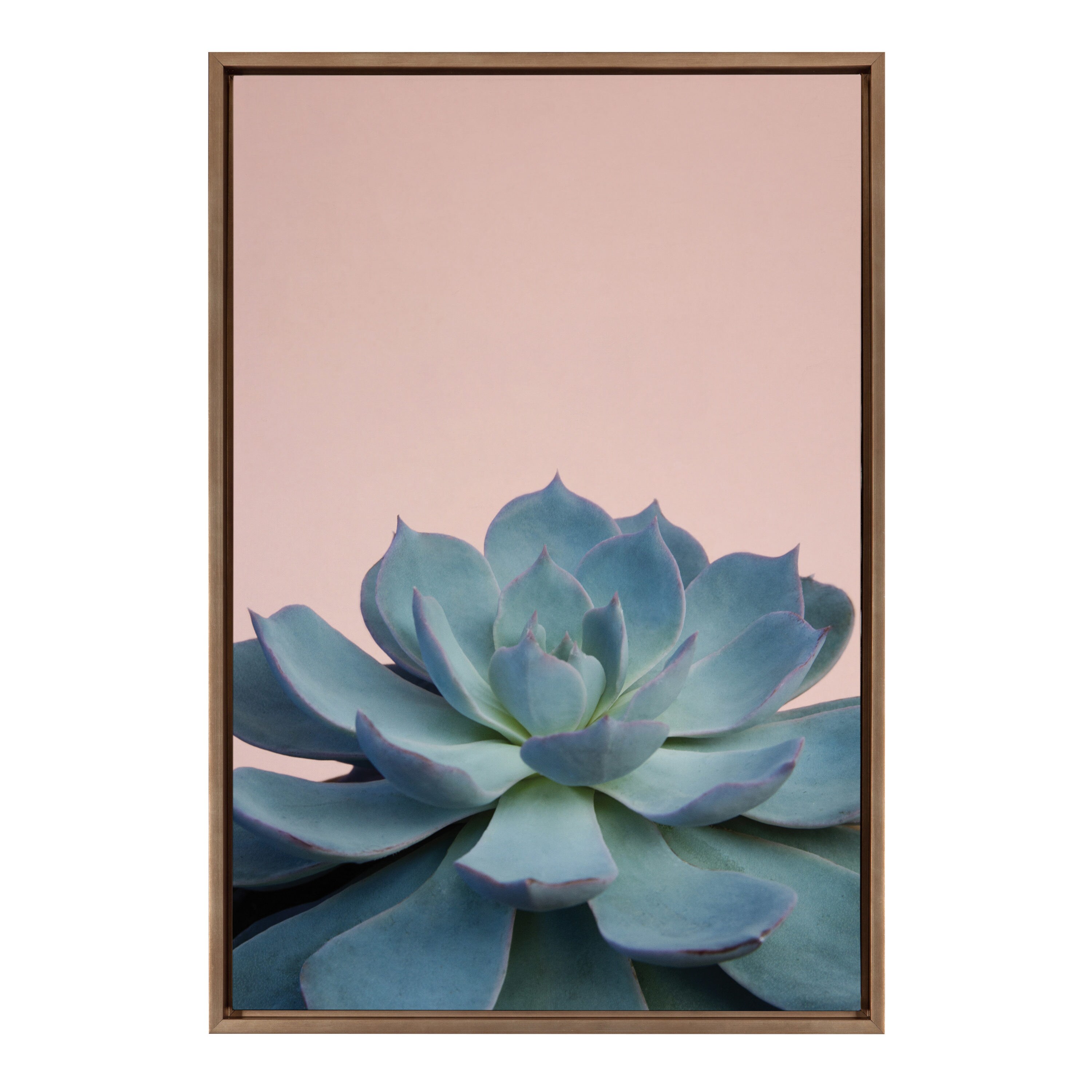 Kate and Laurel 217115 Succulent 10 F21Images Gold Plastic Framed 33-Inches H x 23-Inches W Botanical Canvas Print