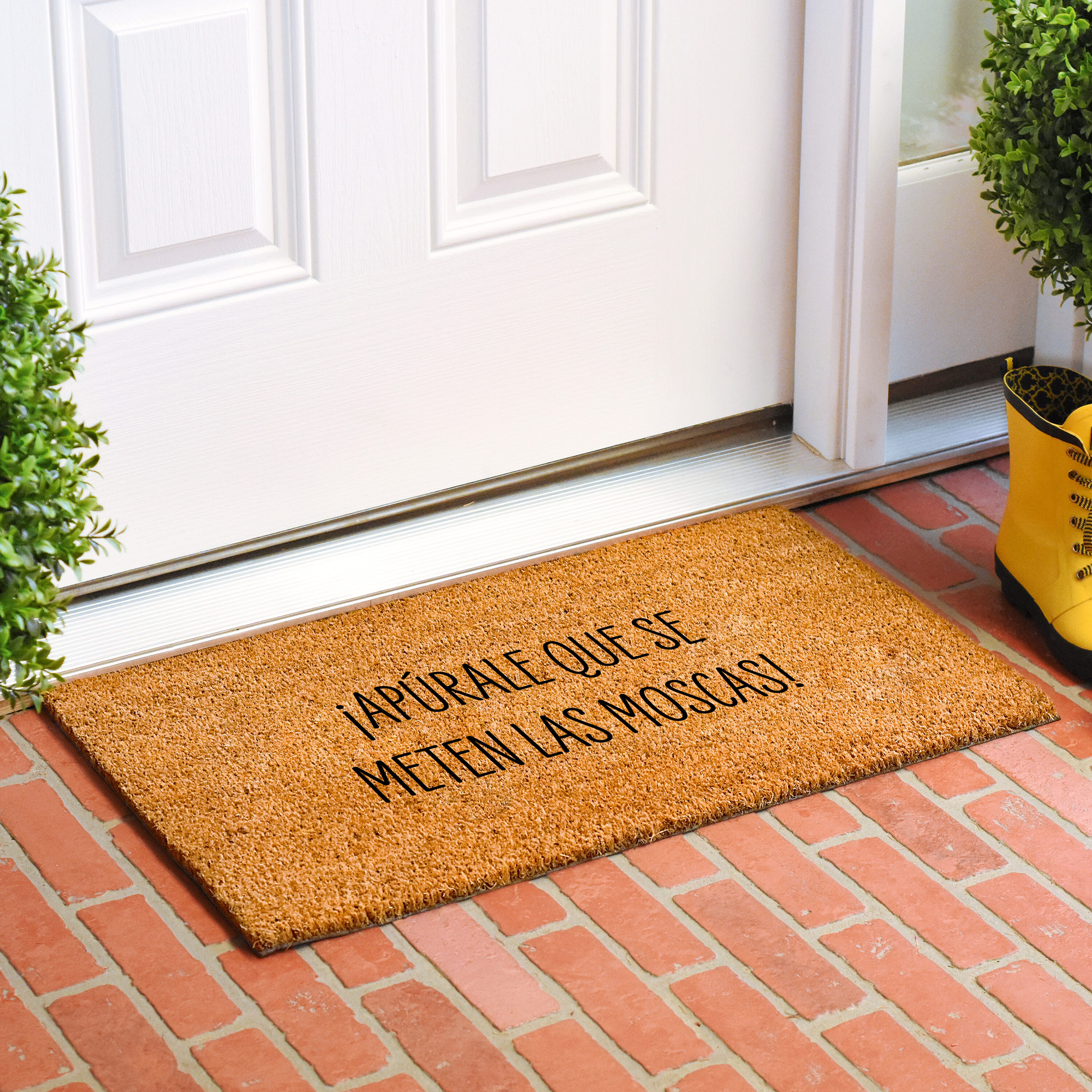 Callowaymills 111632436 Mats-Cat - View #2