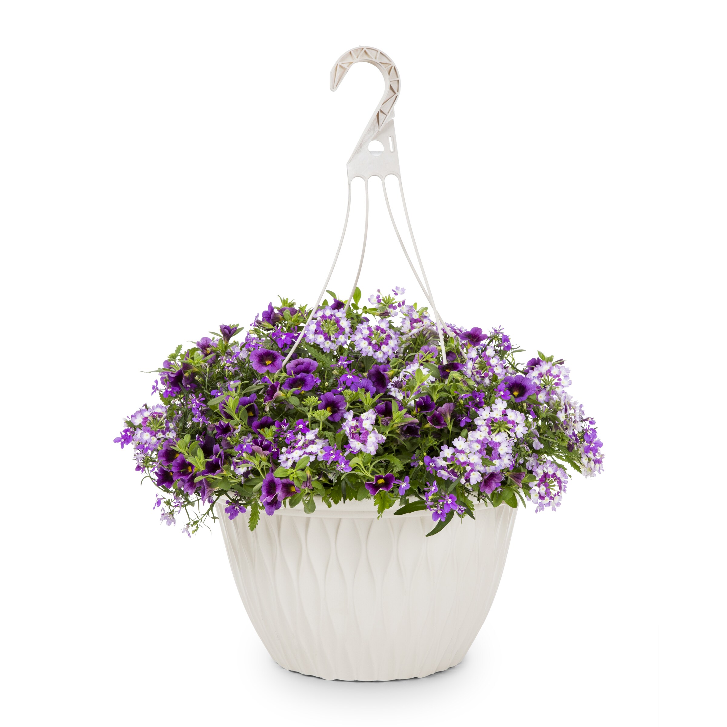 Lowe's NURSERY Multicolor Spark Glow in 3.5 Gallon(s) Hanging basket