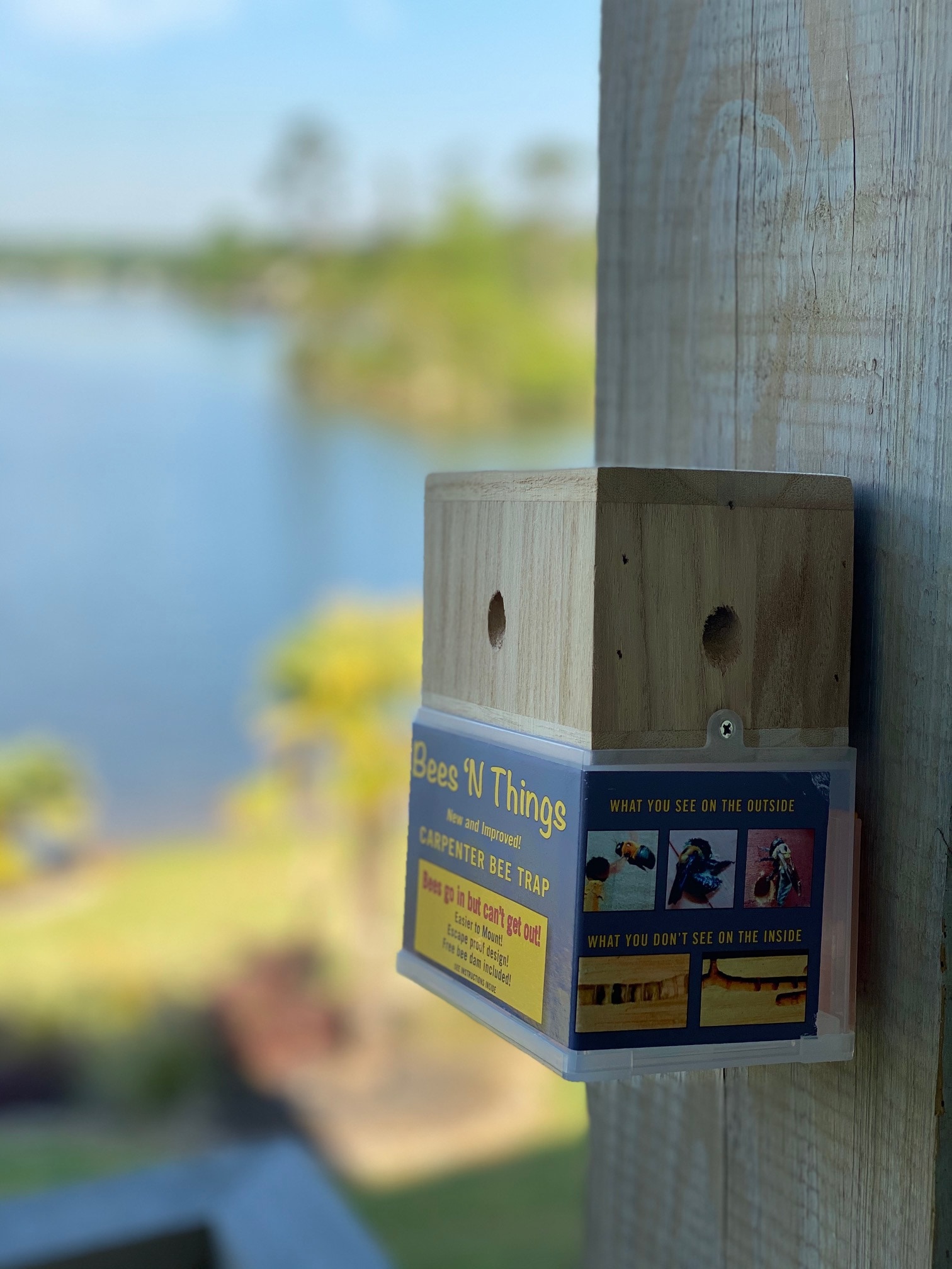 BeesNThings Outdoor Carpenter Bee Trap at Lowes.com