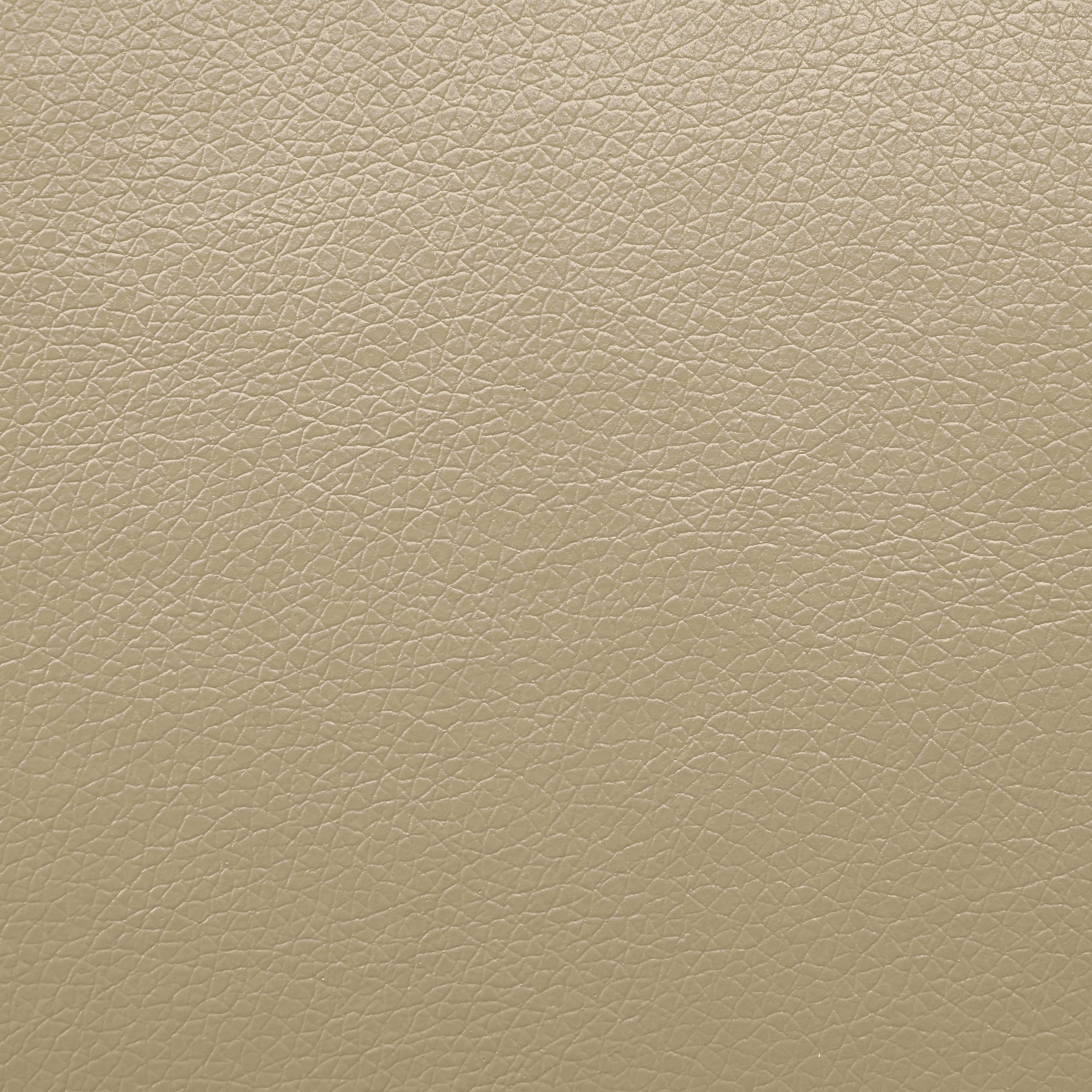 Furniture of America IDF-6012BGLV-PM Sofas-Loveseats - View #4