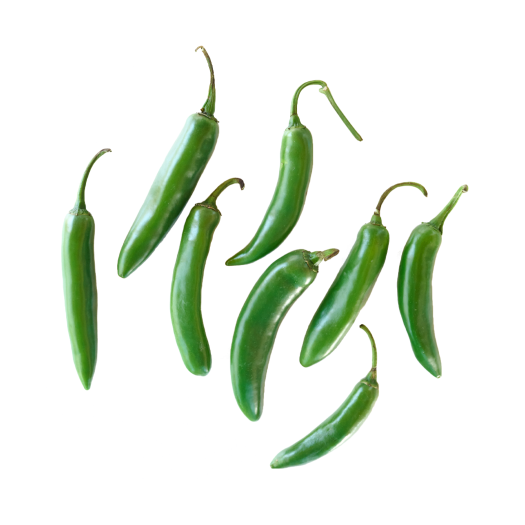Lettuce Grow SO-SV-6-3442 Serrano Pepper Bareroot Plant 6-Pack