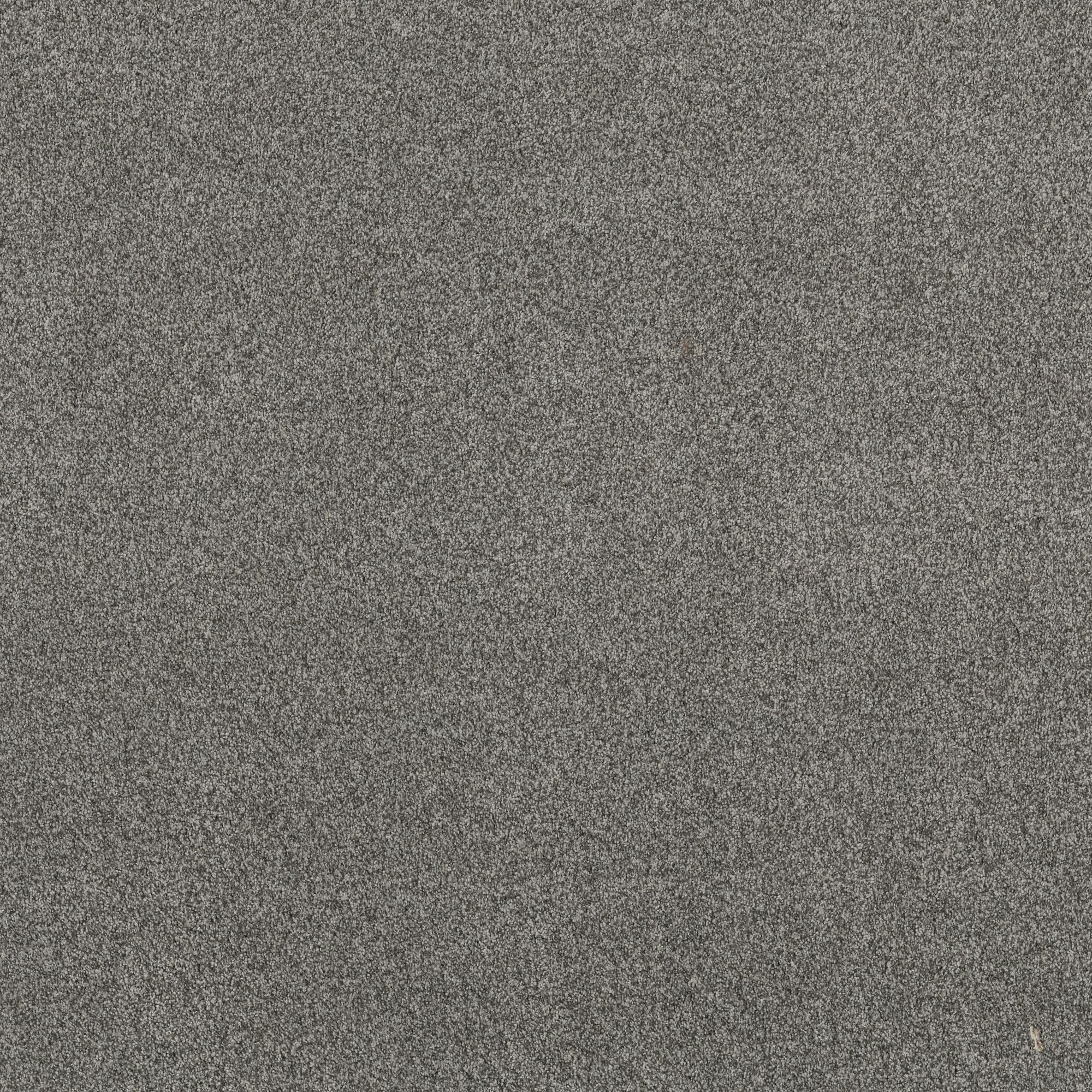 STAINMASTER PetProtect 7L859 - 545 - SAMP (Sample) Reverie II Lunar Gray 48.8-oz sq yard Nylon Textured Indoor Carpet