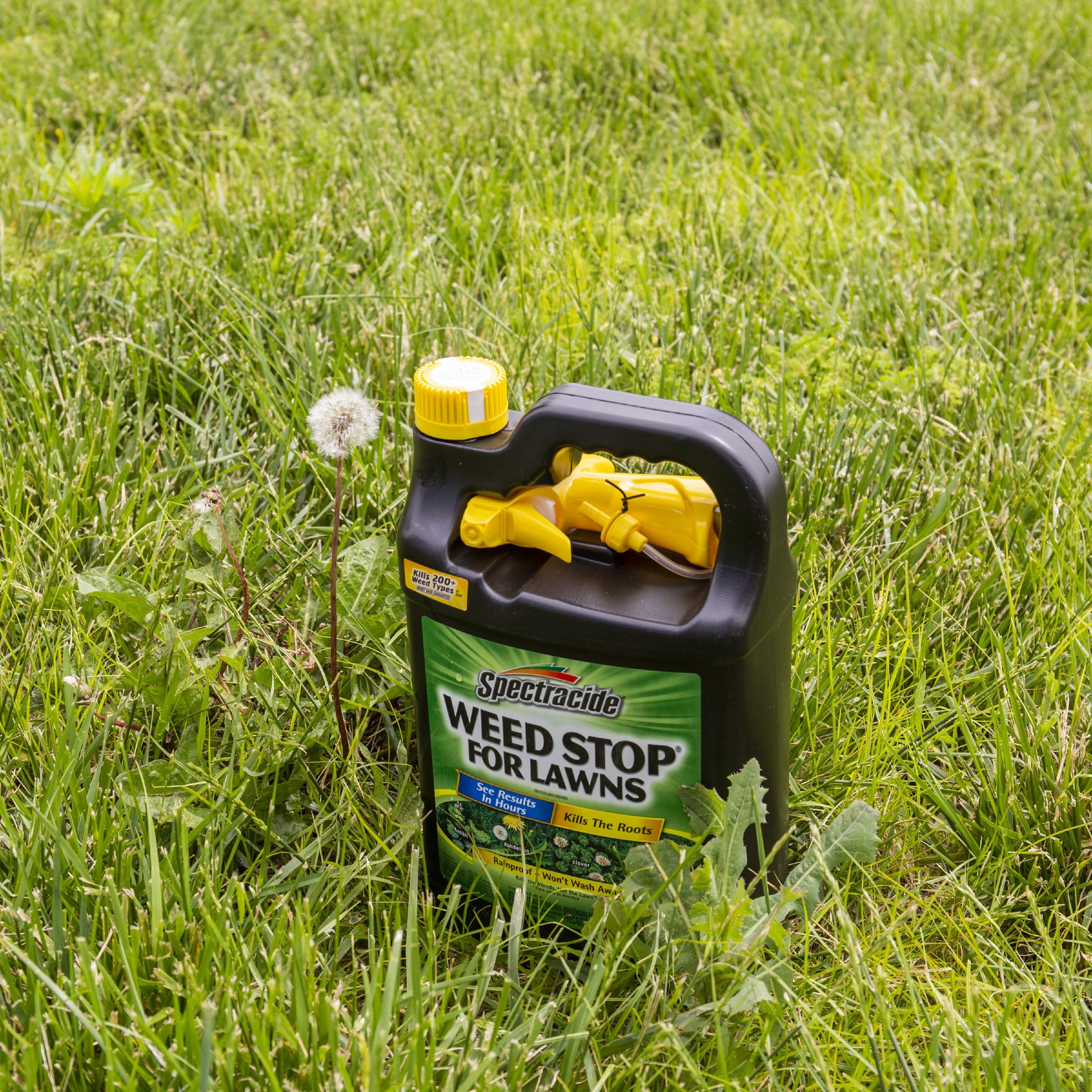 Popular weed killer's alleged link to cancer stirs widespread concern