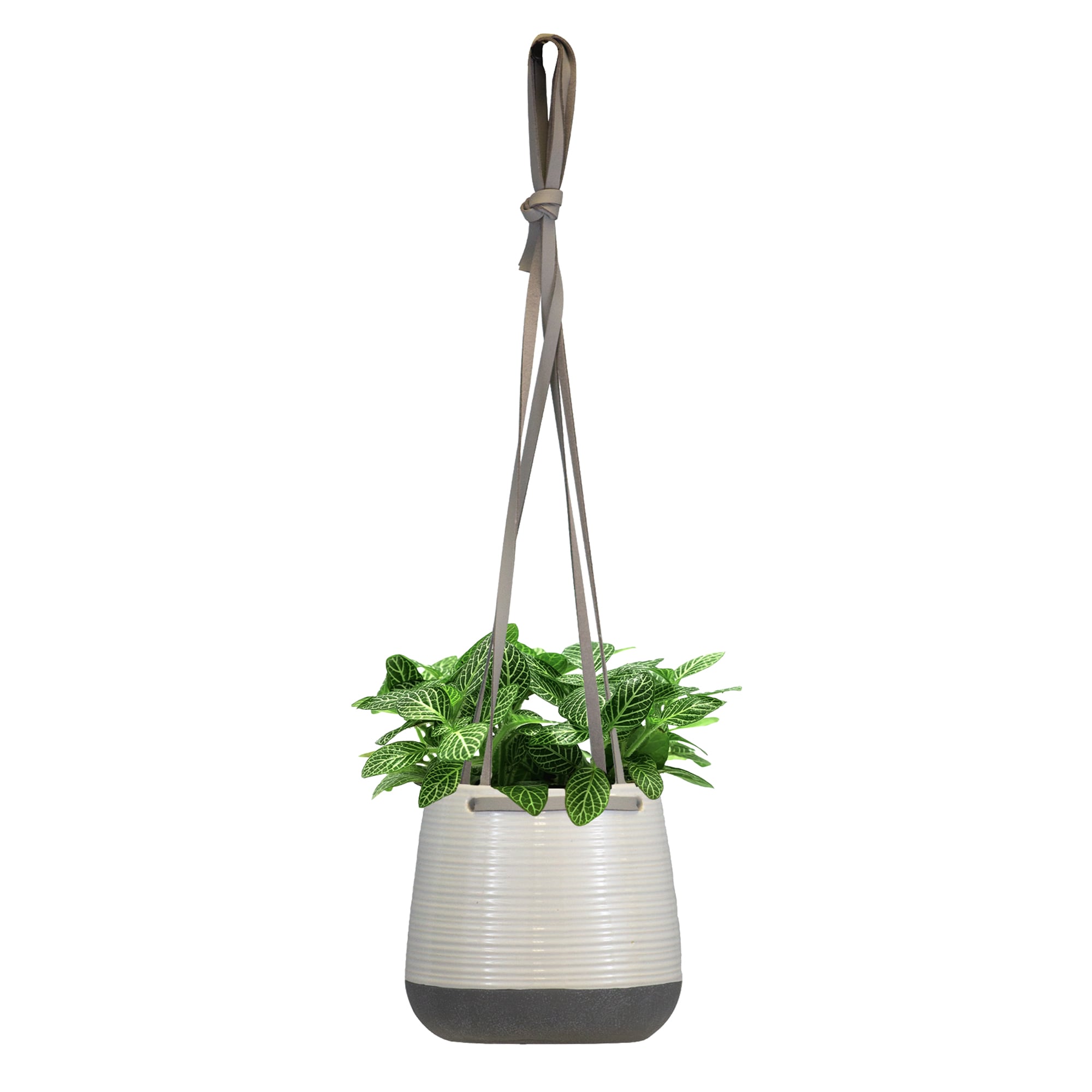 Modern Decorative Hanging Planters, Plant Pots, Tableware & Vases