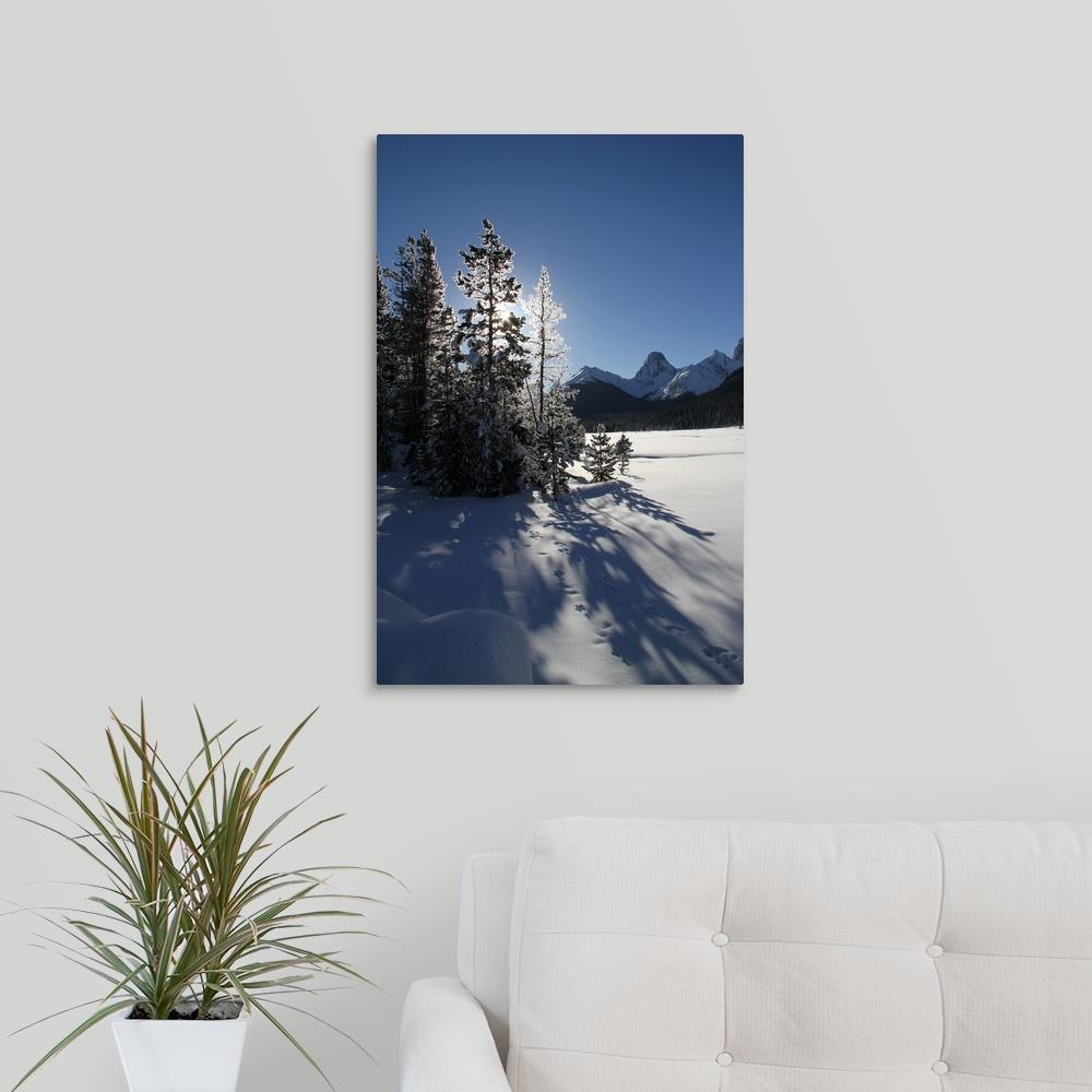 GreatBigCanvas Winter Shadows by Brian Wolits 24-in H x 16-in W ...