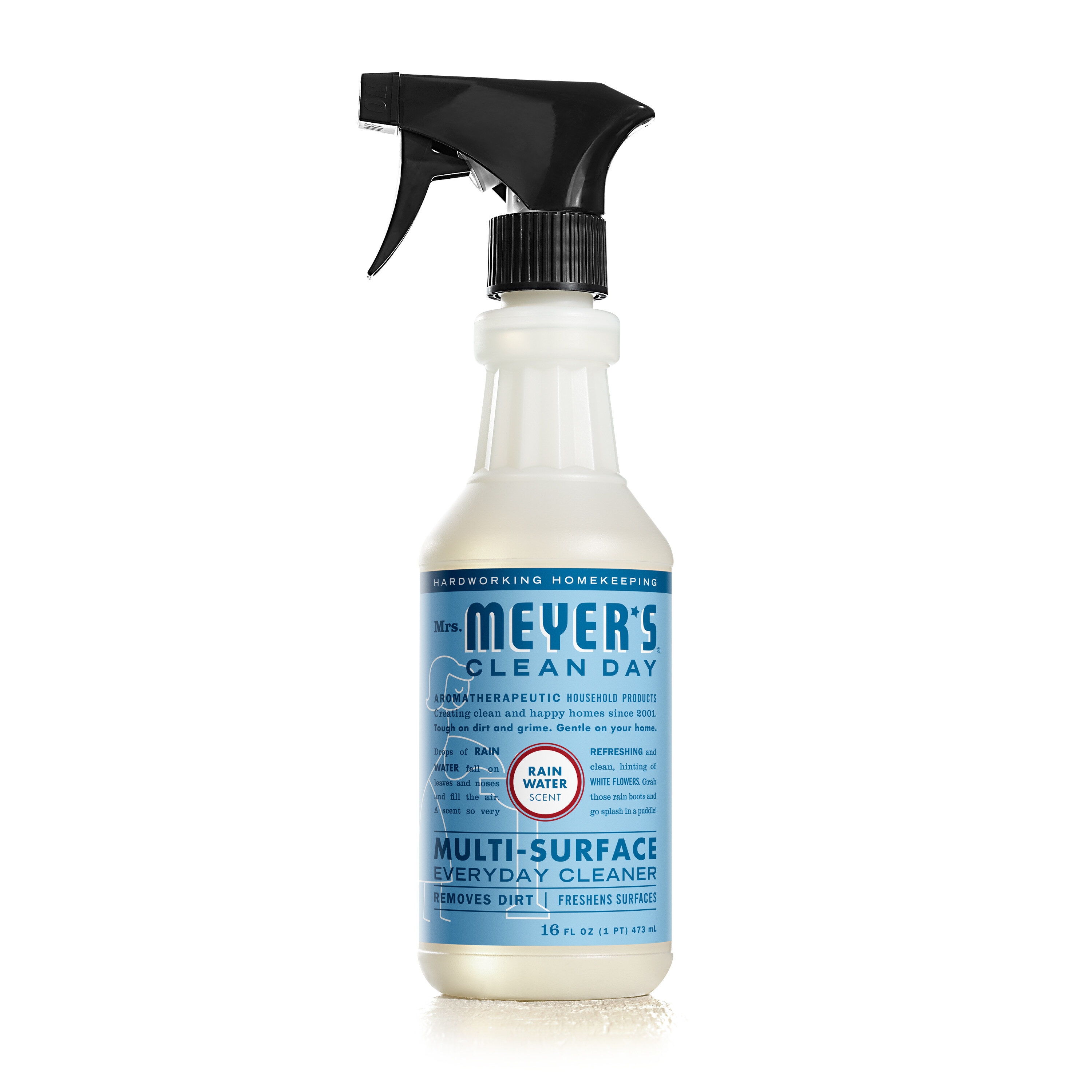 GUNK Multi-Surface Cleaner