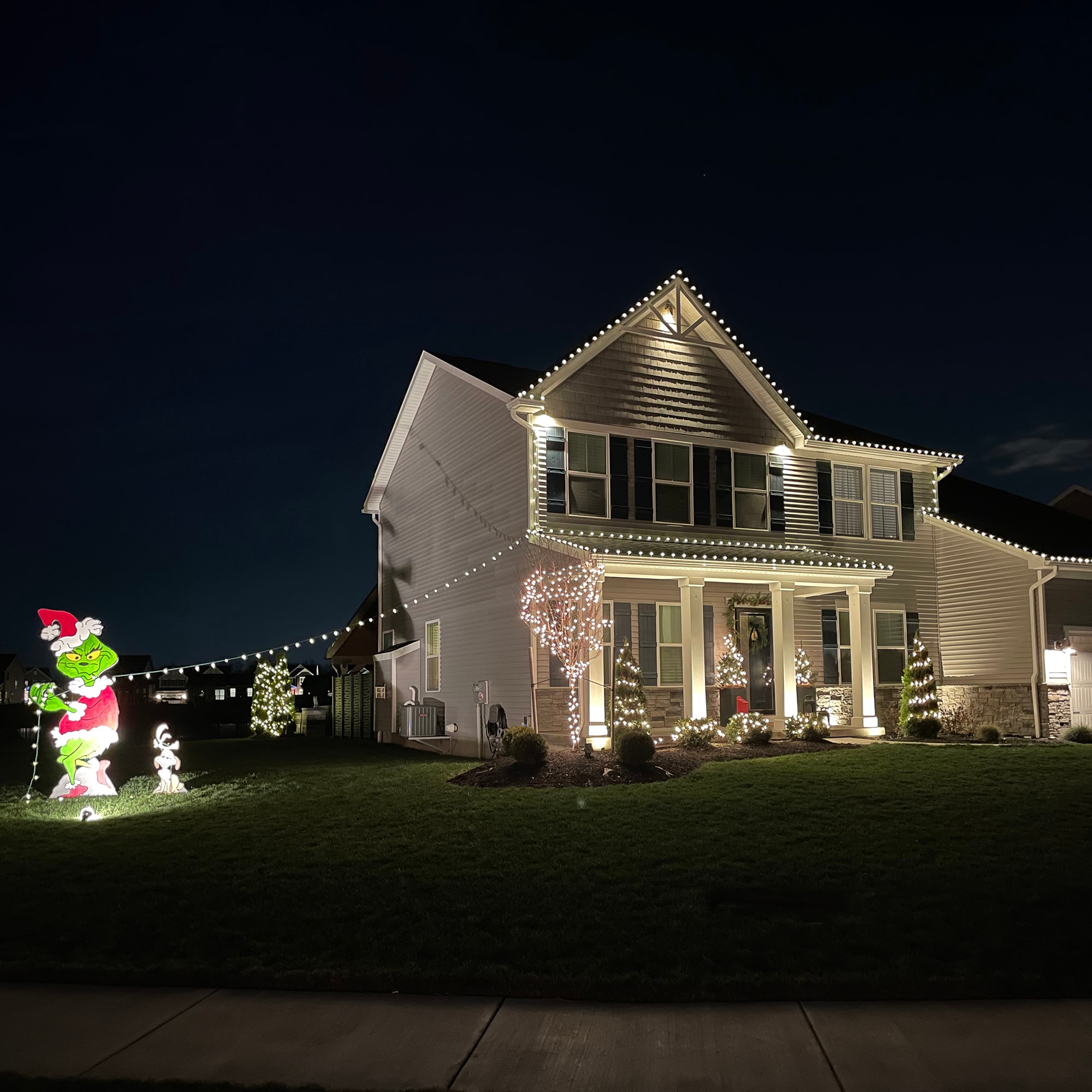 Northlight 32602374 Christmas-String-Lights - View #6