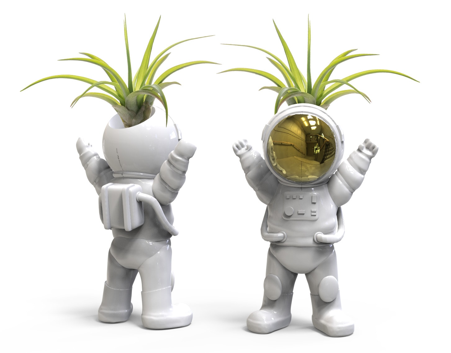 LiveTrends BTC251 MAJOR TOM House plant in 1 -Pack Pot 1 -Pack
