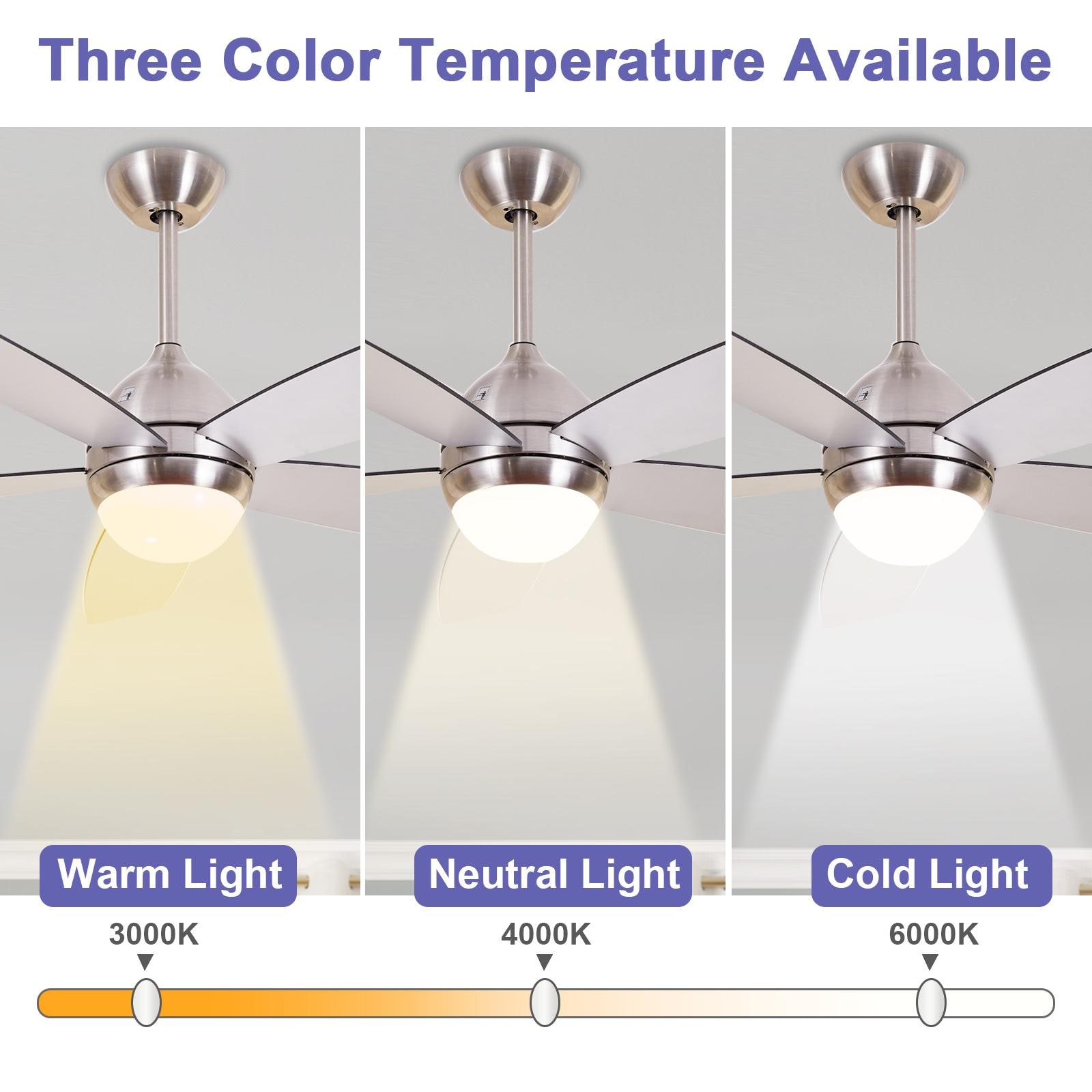 Bayfeve BFSBL-W11A3639938 Ceiling-Fans - View #4