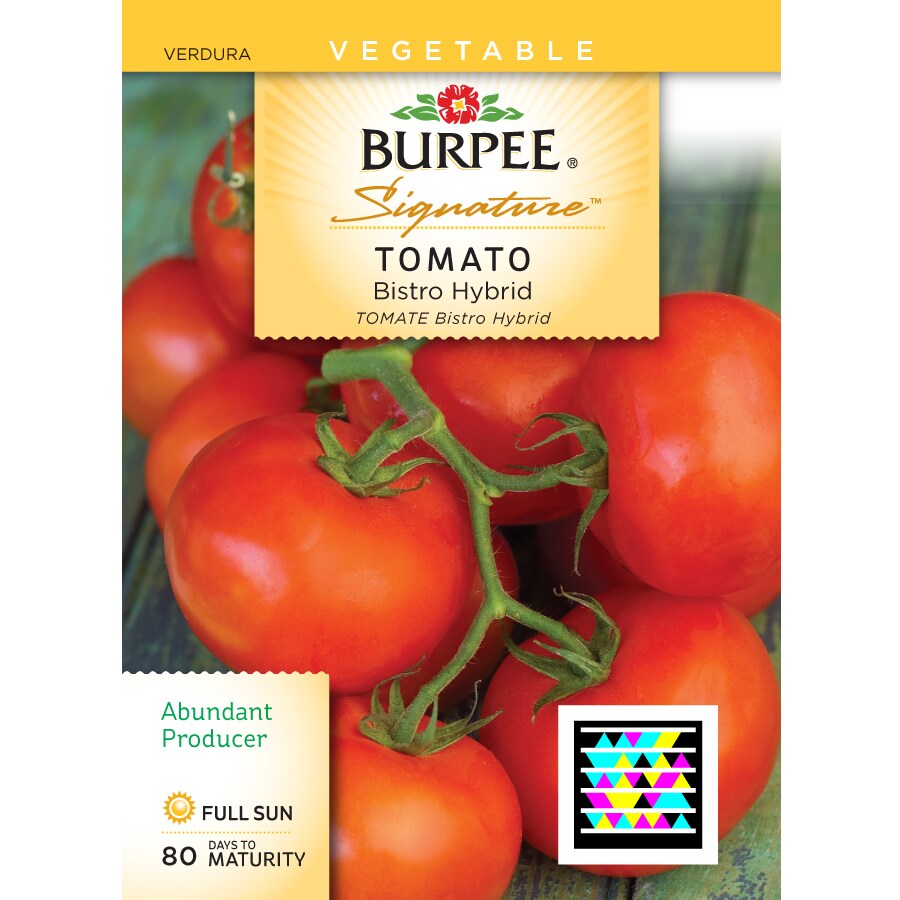 Tomato, Bodacious Hybrid - Burpee