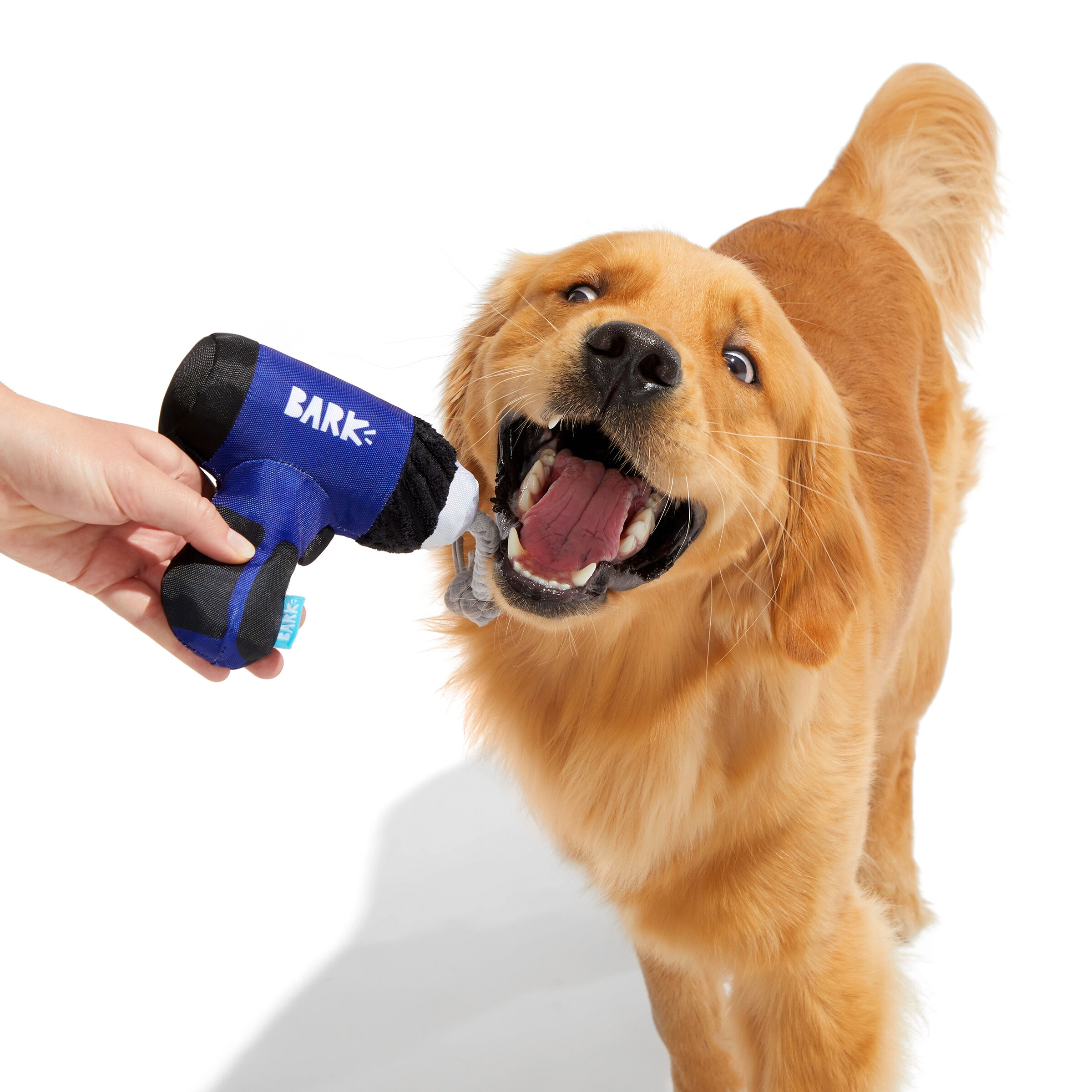 BARK 214988 Dog-Toys - View #4