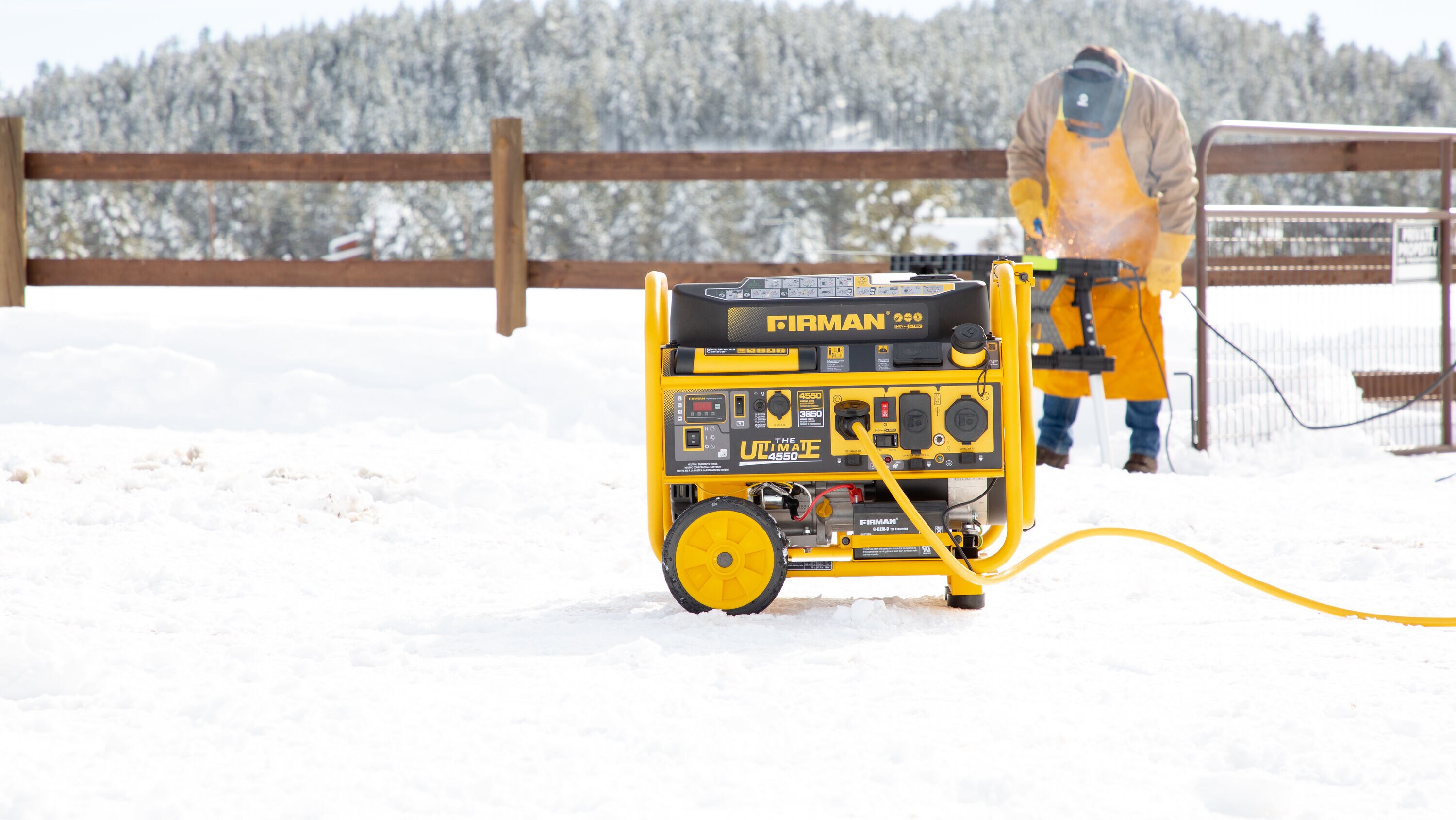 Firman P03617 Portable-Generators - View #6
