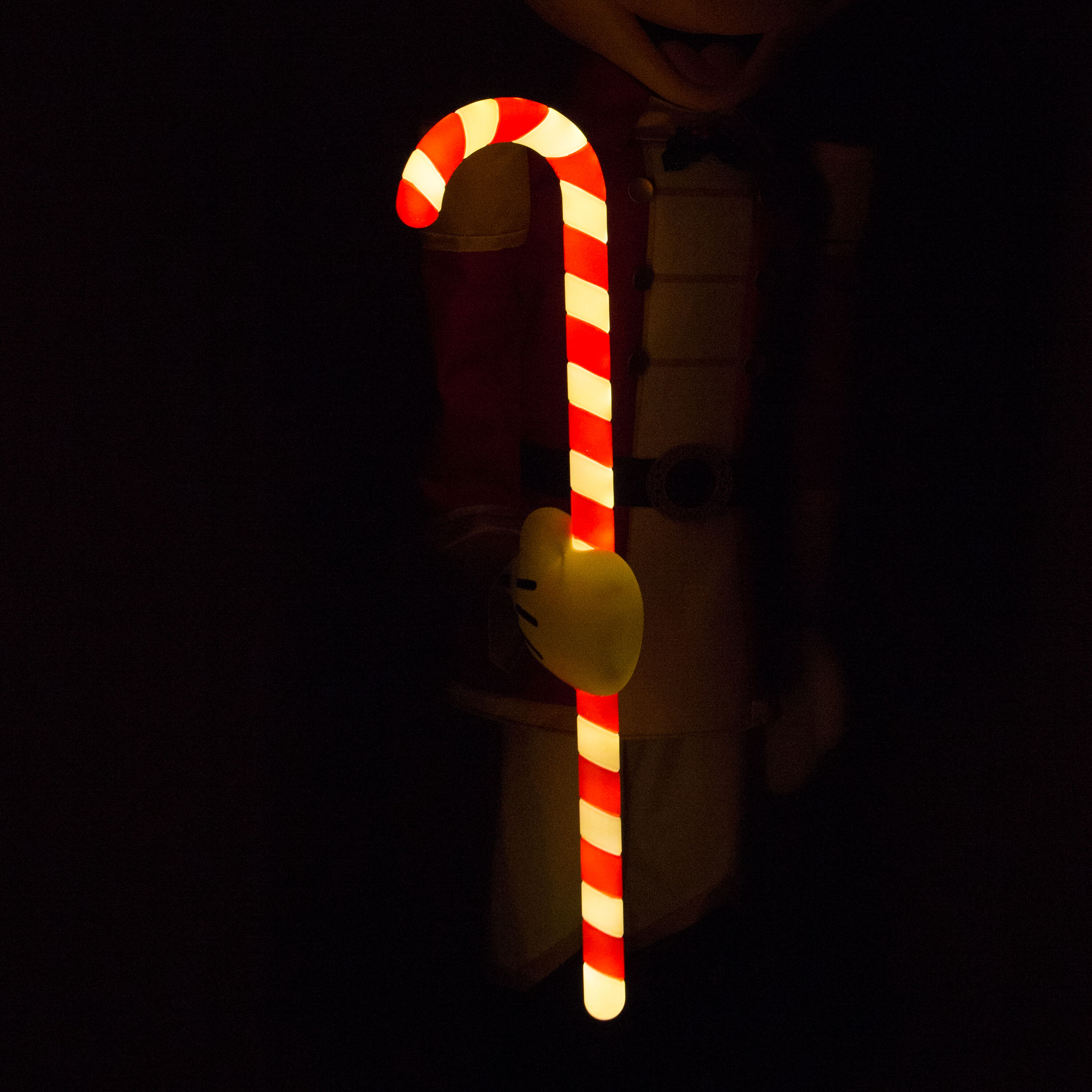 Disney 883747 Outdoor-Christmas-Decor - View #6