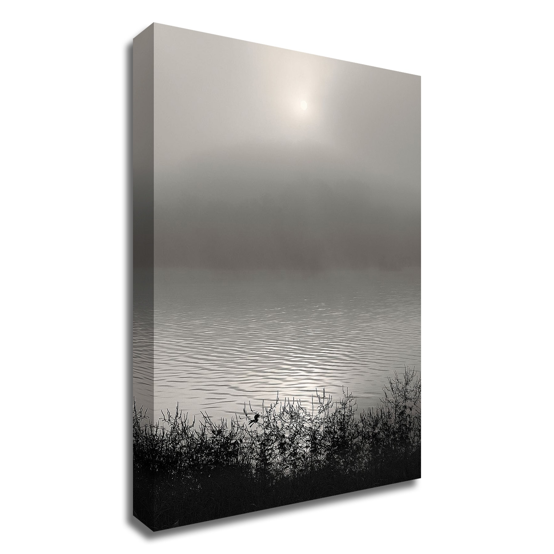Tangletown Fine Art Monochrome Sunrise Nicholas Bell 22-in H x 17-in W ...