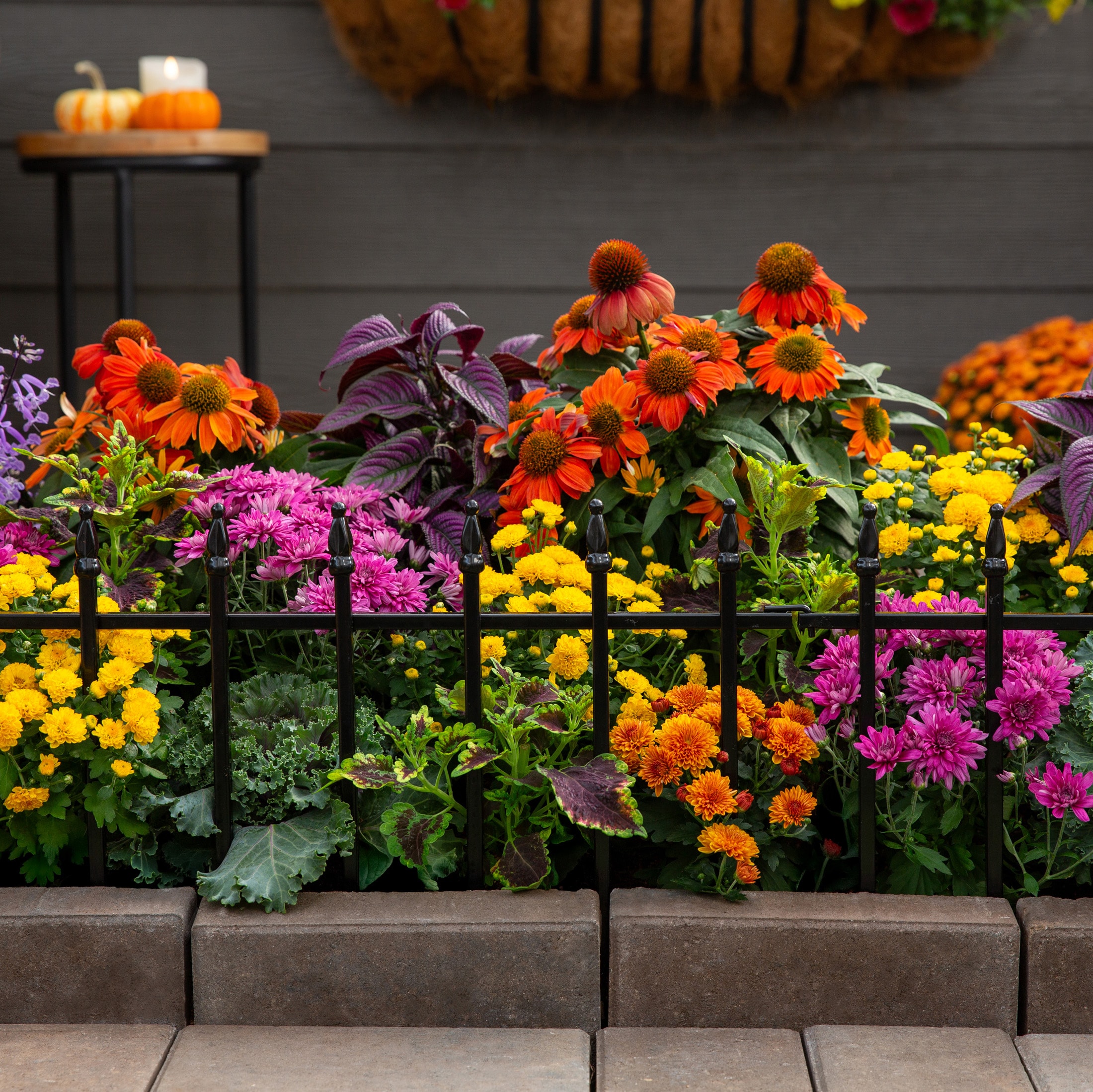  DTC-080078 annuals - View #3
